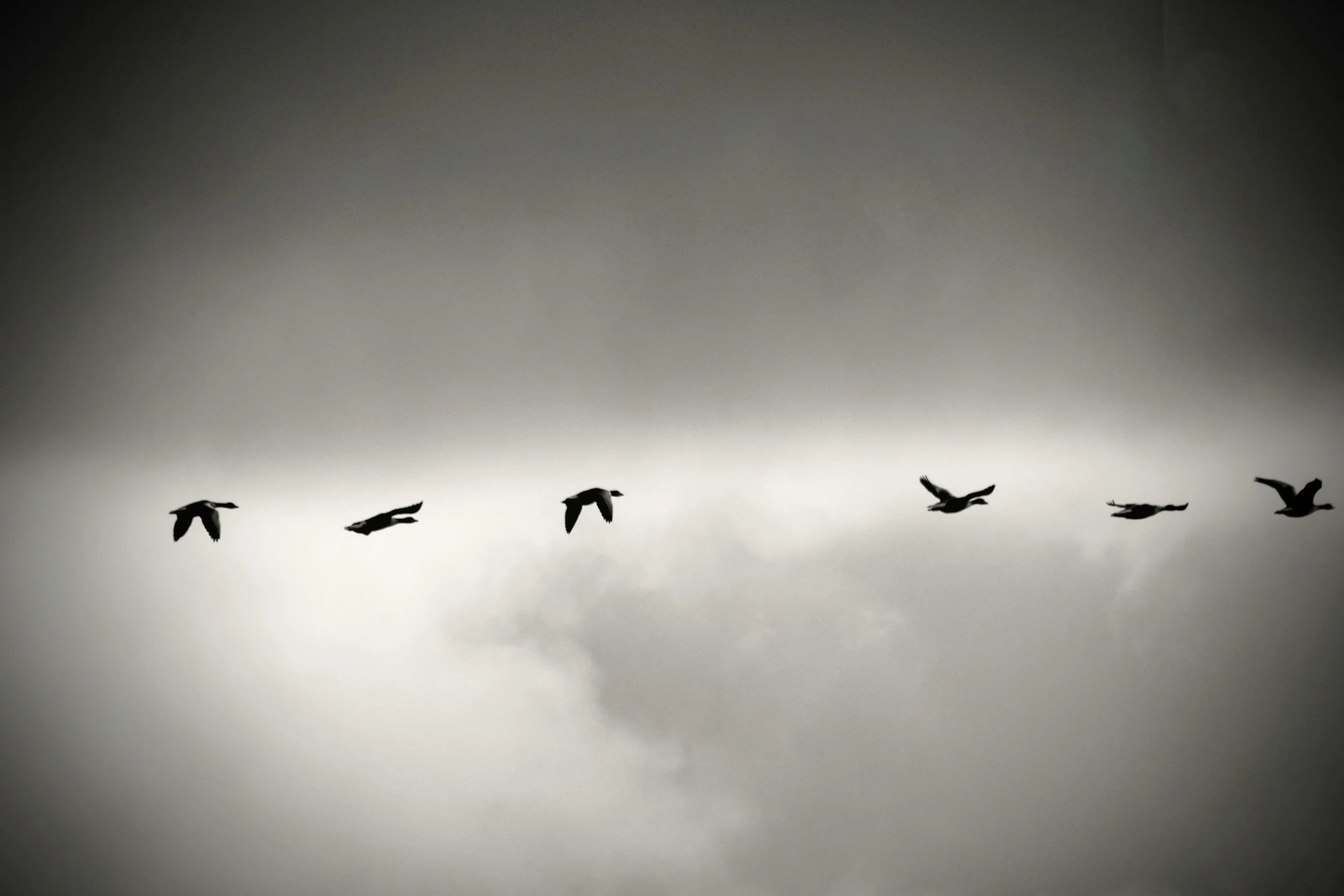 From Self-Doubt to Authority: Overthinking to Trust