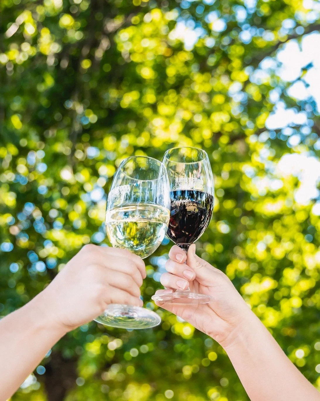 Don't miss a sip! 🍷 Join our enewsletter and be the first to hear about upcoming events, ticket releases, special offers, and exciting announcements 👉 link in bio!
#UnWinedSubiaco #UnWinedEventsWA #seesubiaco #perthevents #perth #perthwine #subiaco