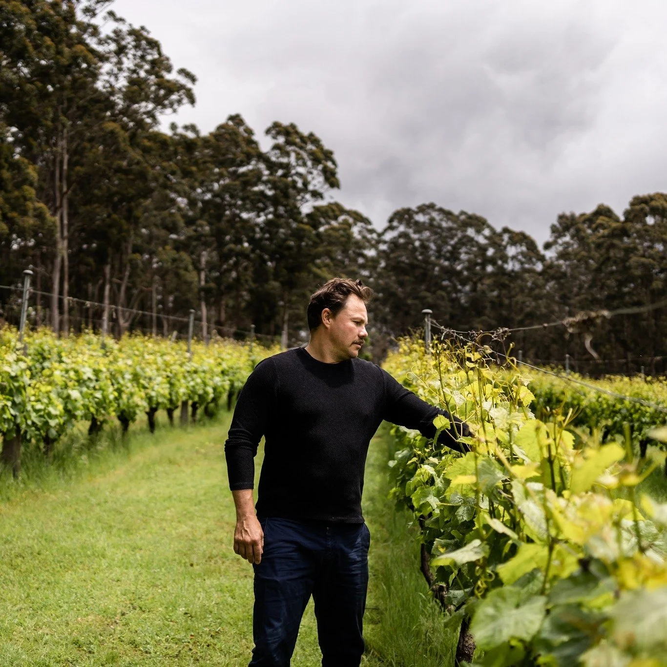 @paulnelson_wines will be pouring small-batch, expressive Great Southern wines at UnWined Subiaco. Stop by to taste the range, enjoy UnWined weekend offers of 15% off any 6 wines and 20% off any 12, and learn more about their newly launched wine comm