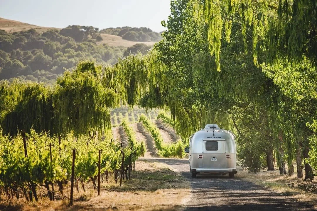 Sonoma