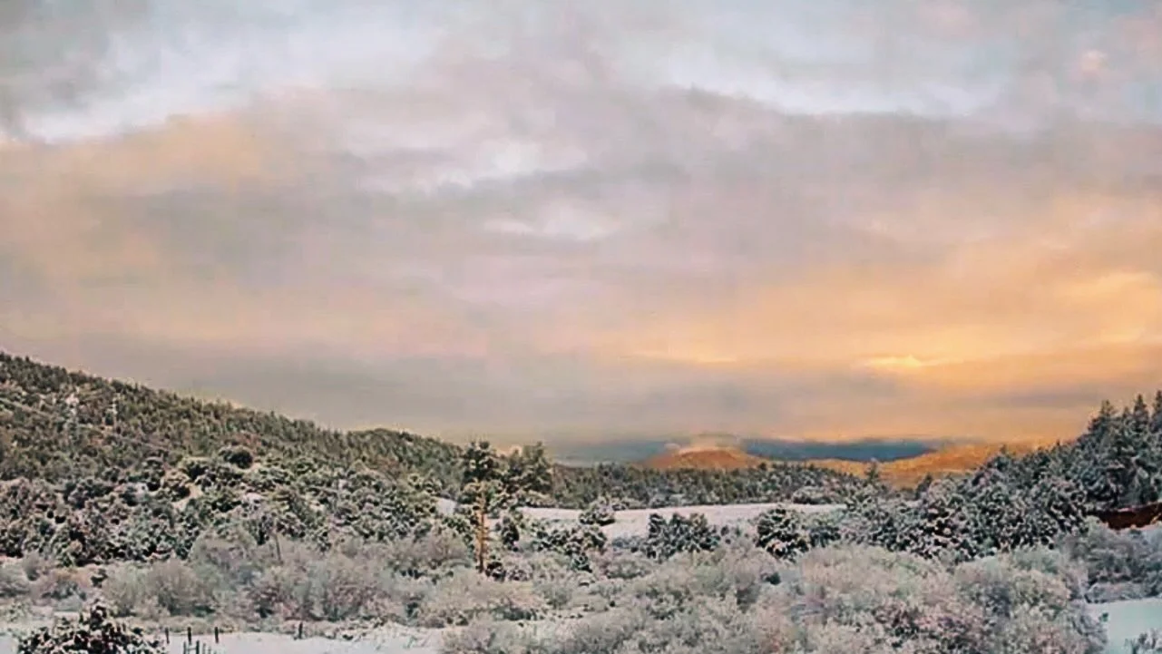 Good morning! ☀️ The silence and insulation of snow cover on the mountain are profound- gentle and powerful all at once, resting, cleansing and strengthening the land in its promise toward spring. ❄️ May winter nourish these grounds in its healing pe