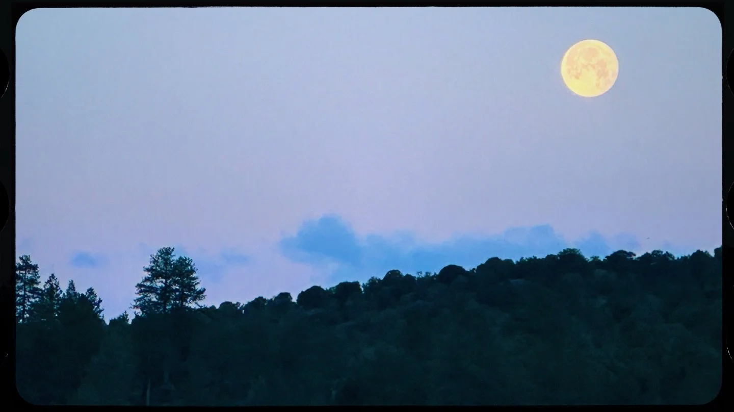 Reflecting sunlight at its strongest, full moons often appear larger and warmer near the horizon due to atmospheric scattering. This phase marks the midpoint of the lunar cycle, when the Earth, sun and moon are most closely aligned. 🌕 A full moon si