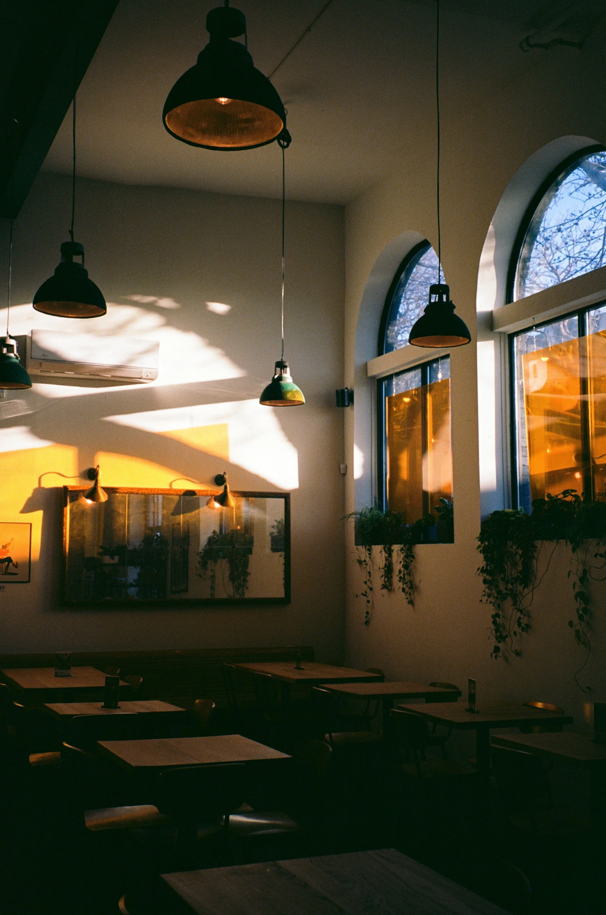 Interior of a cafe or restaurant with hanging ceiling lights, large arched windows with sunlight shining through, and tables with placemats, plants, and artwork on the wall.