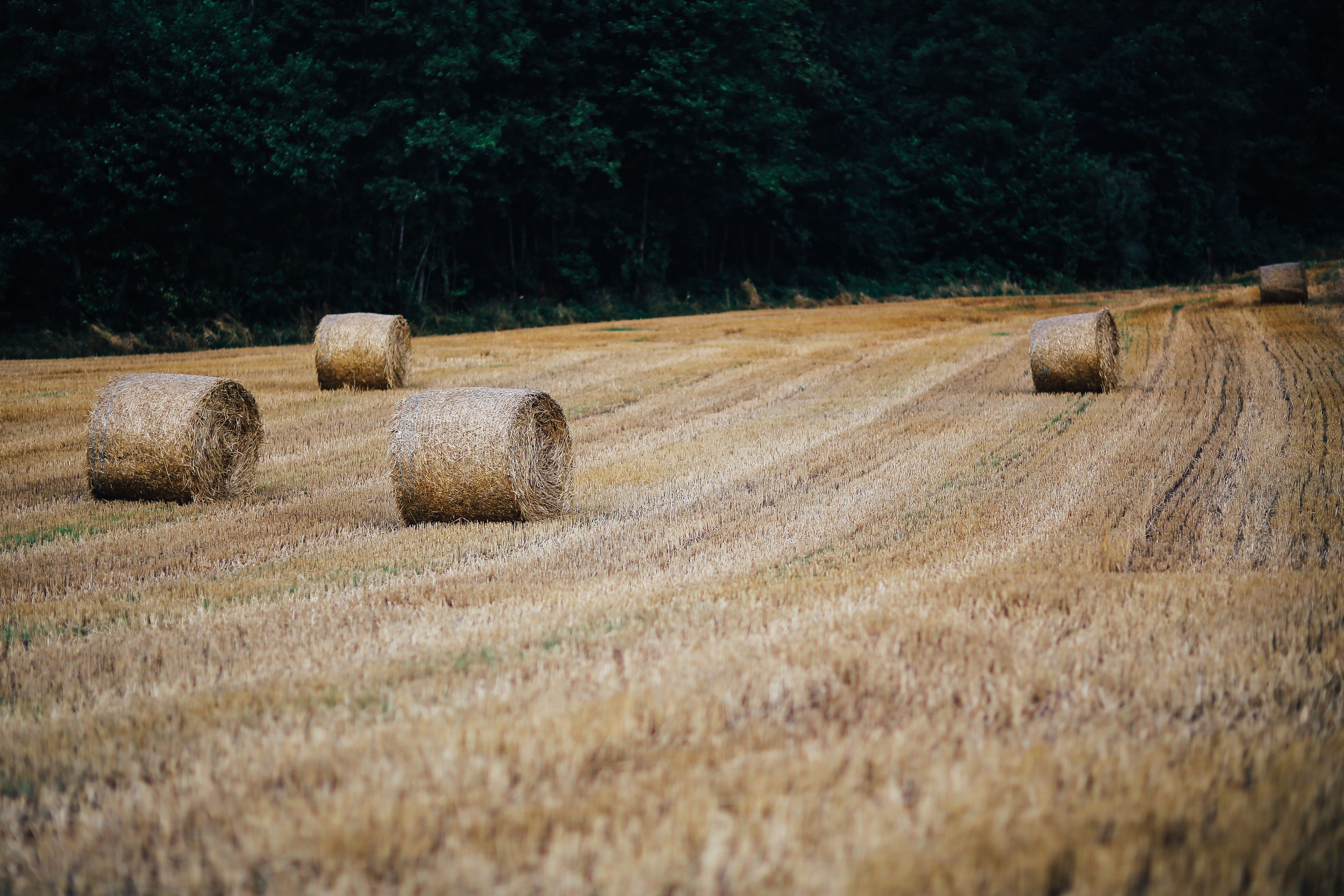 1/2 Day Retreat – Soulful Womens Post-Cancer
