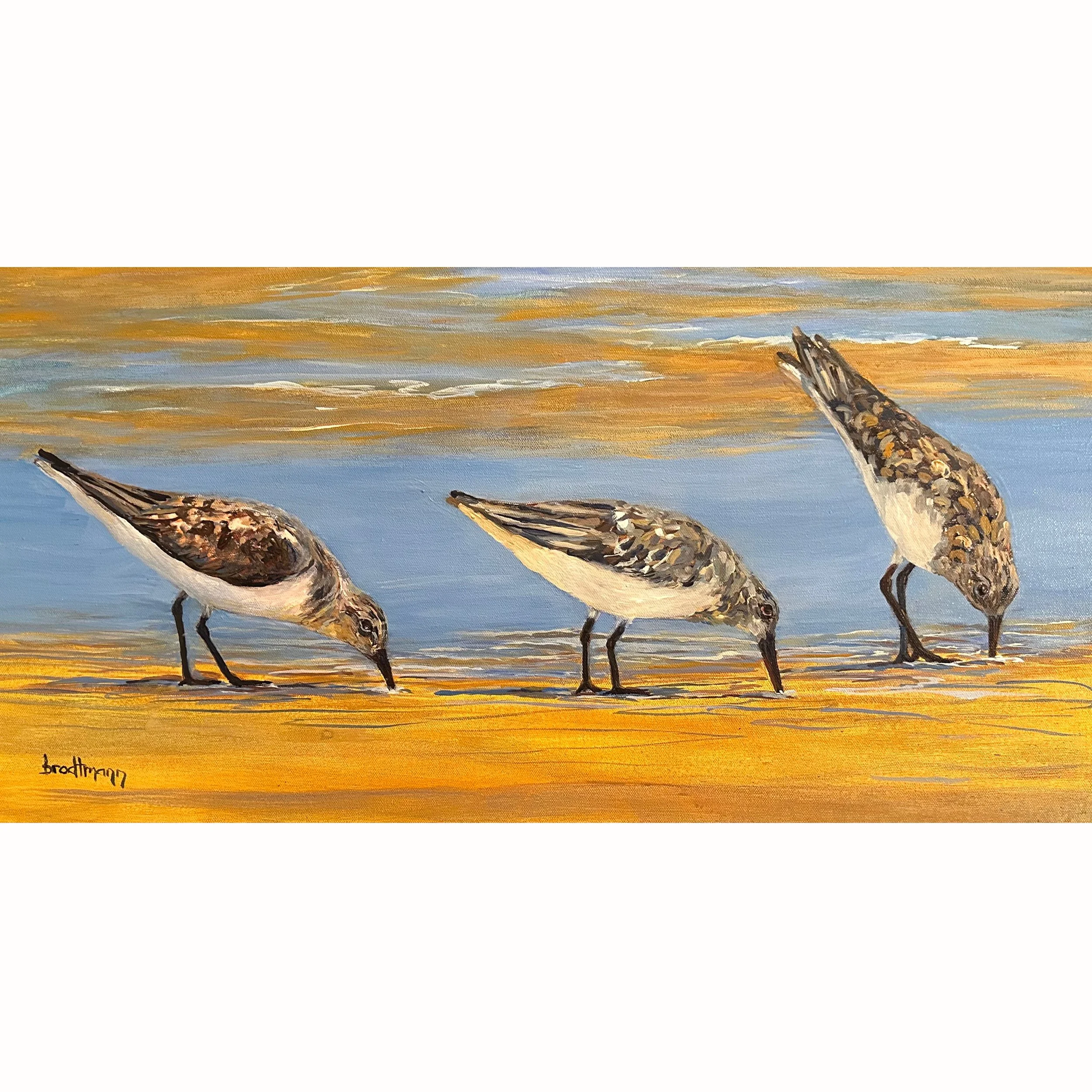 Low Tide Conversations