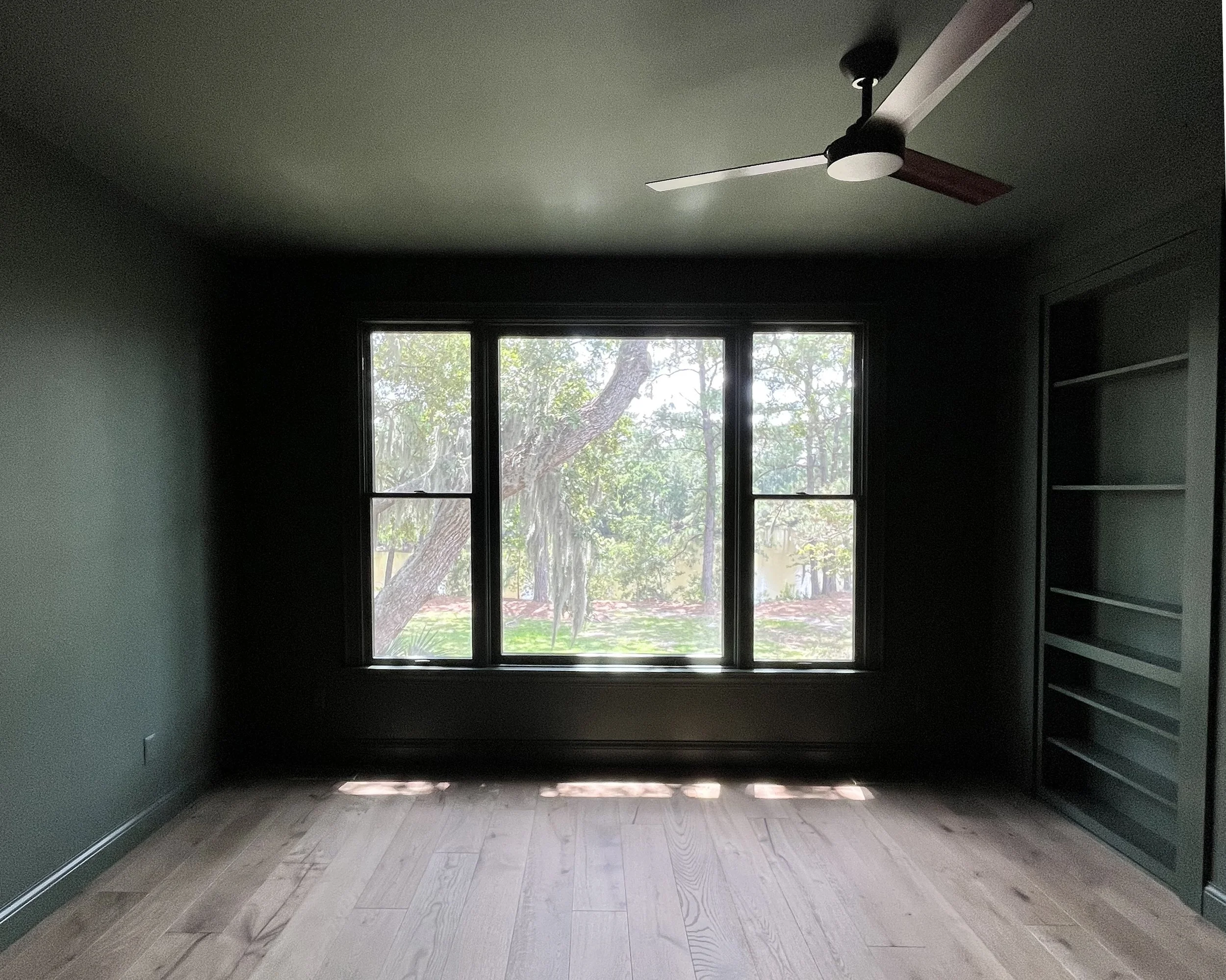 Interior repaint in John's Island (Charleston, SC), rich dark color drench.