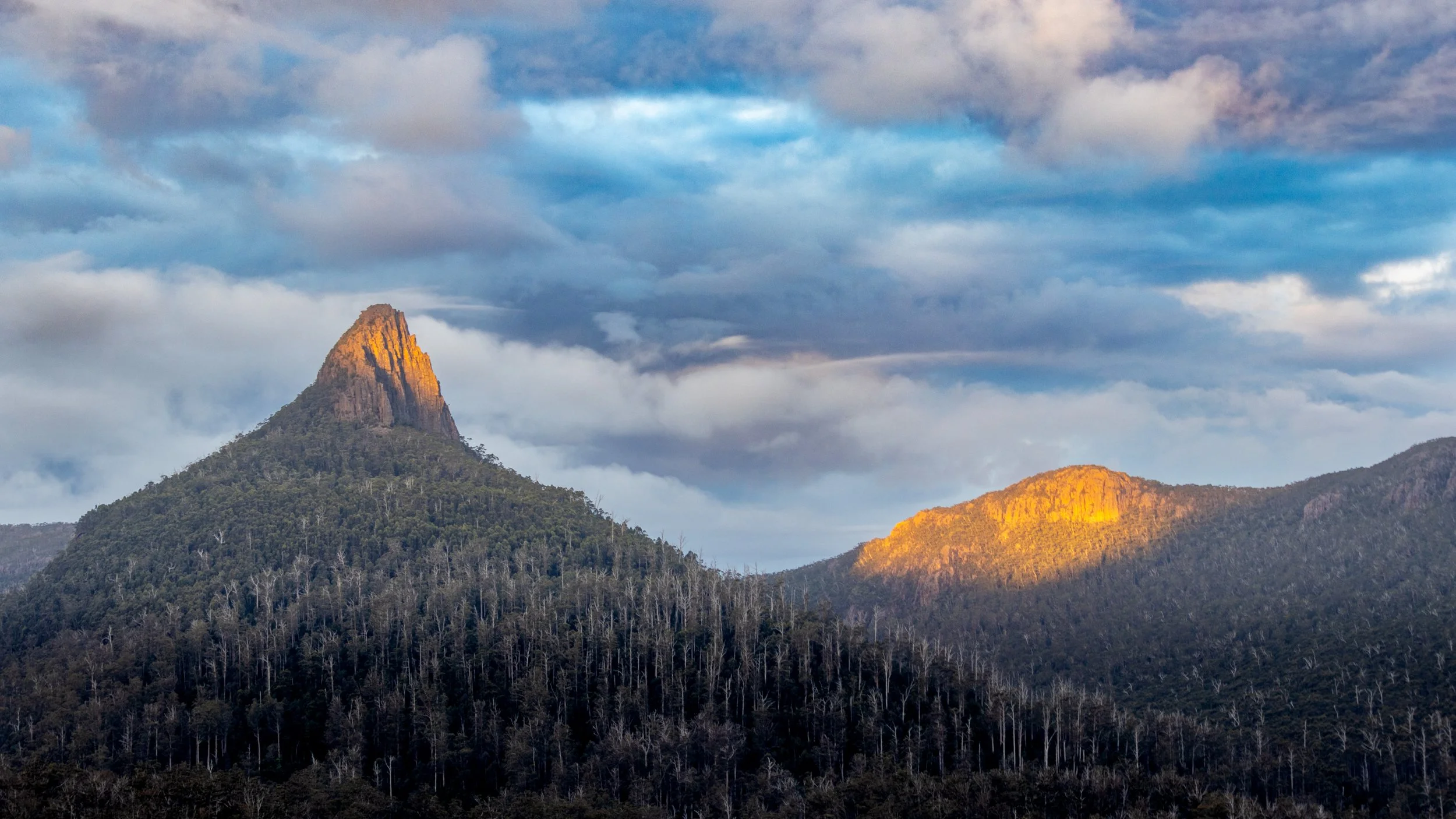 Tassie-74.jpg