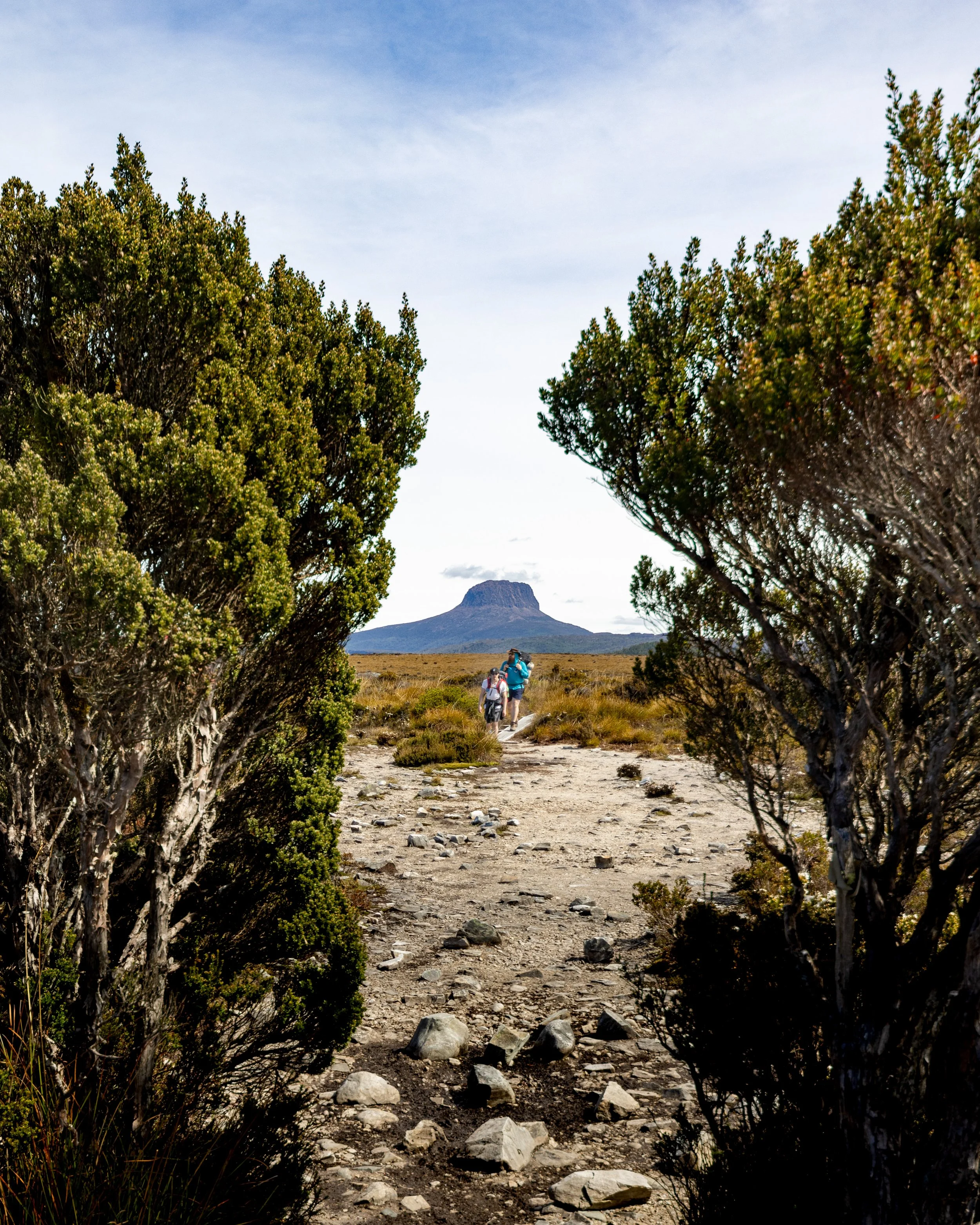 Tassie-20.jpg