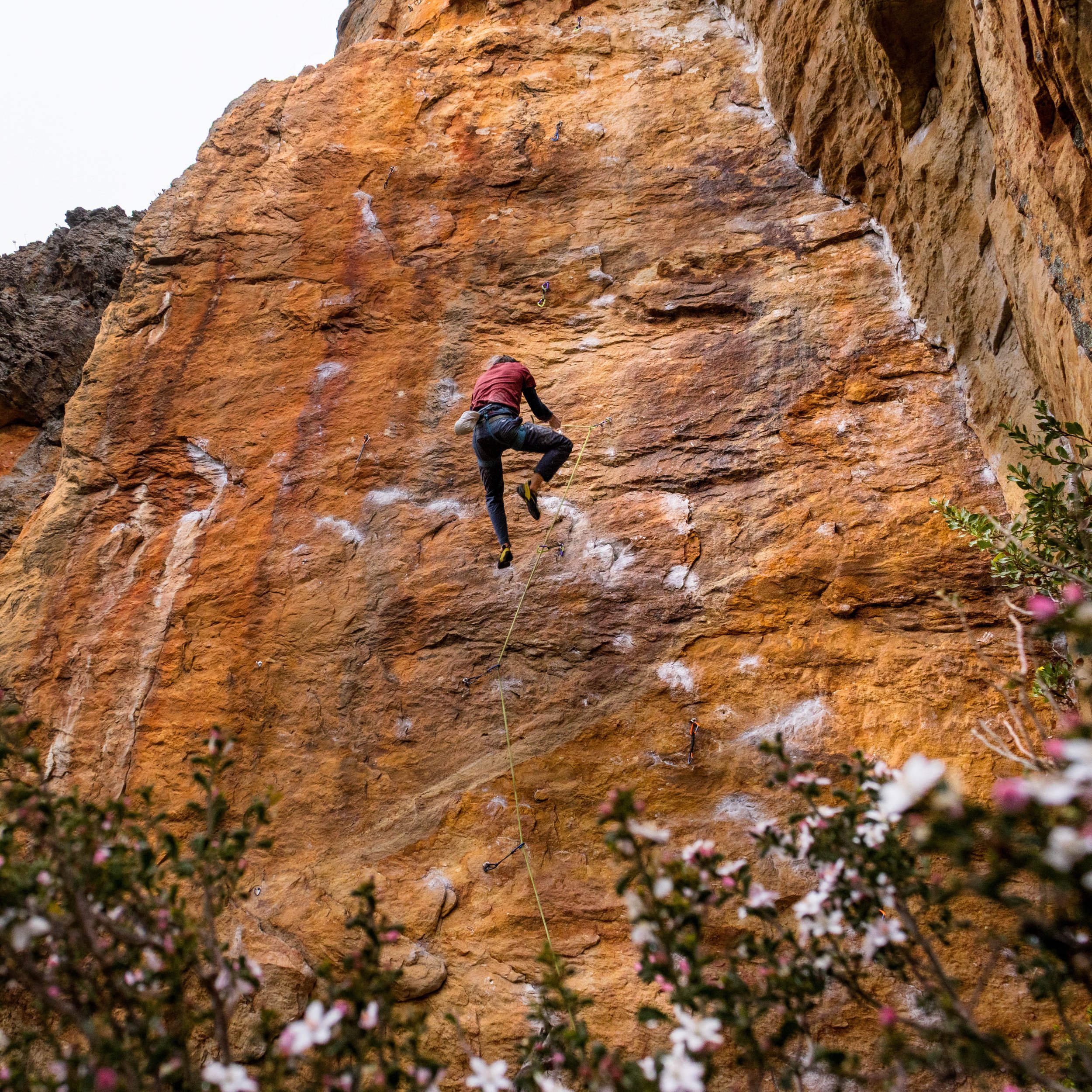 Climbing Overview(10).jpg