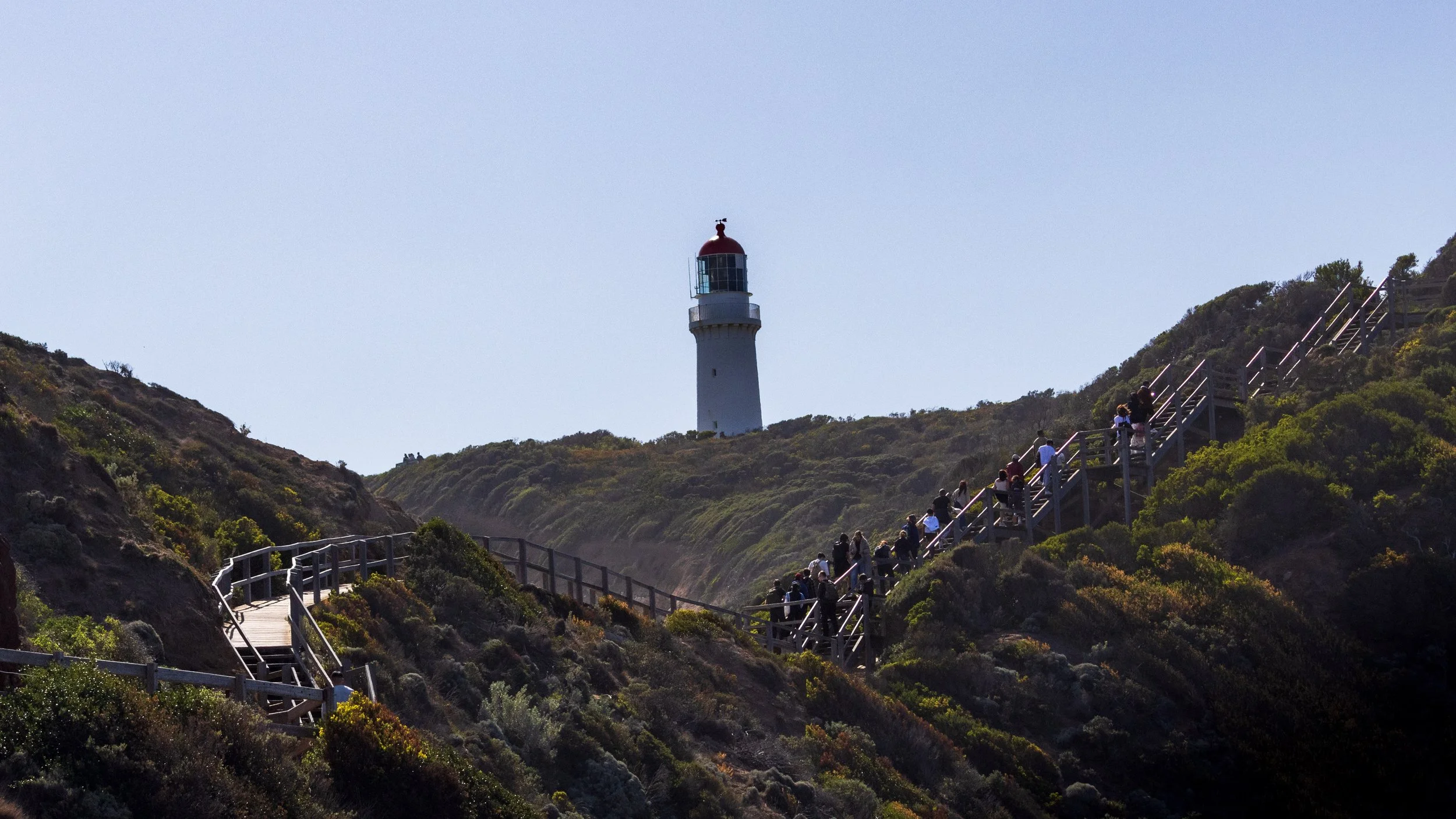 CapeSchanck1-12.jpg
