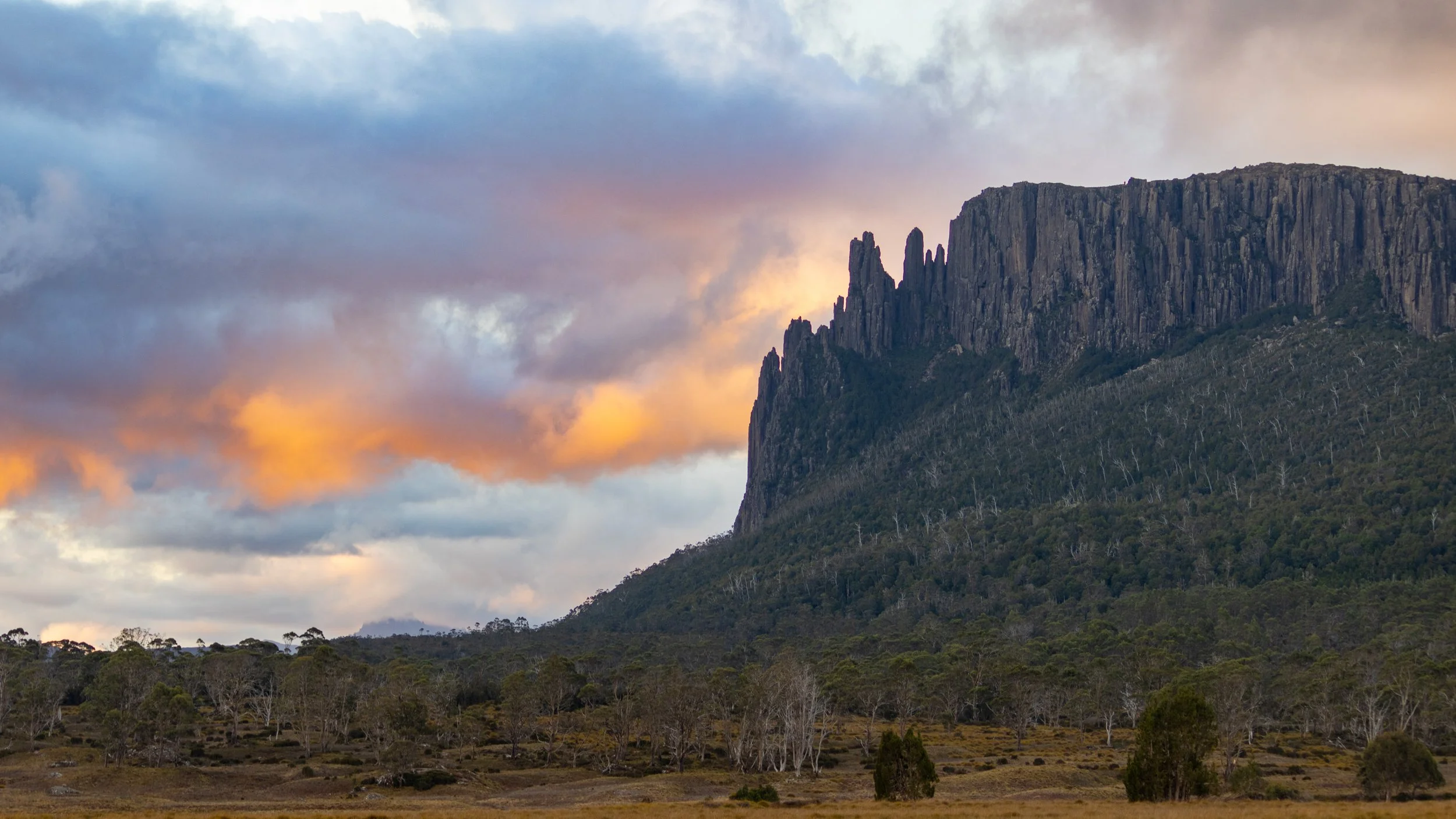 Tassie-32.jpg