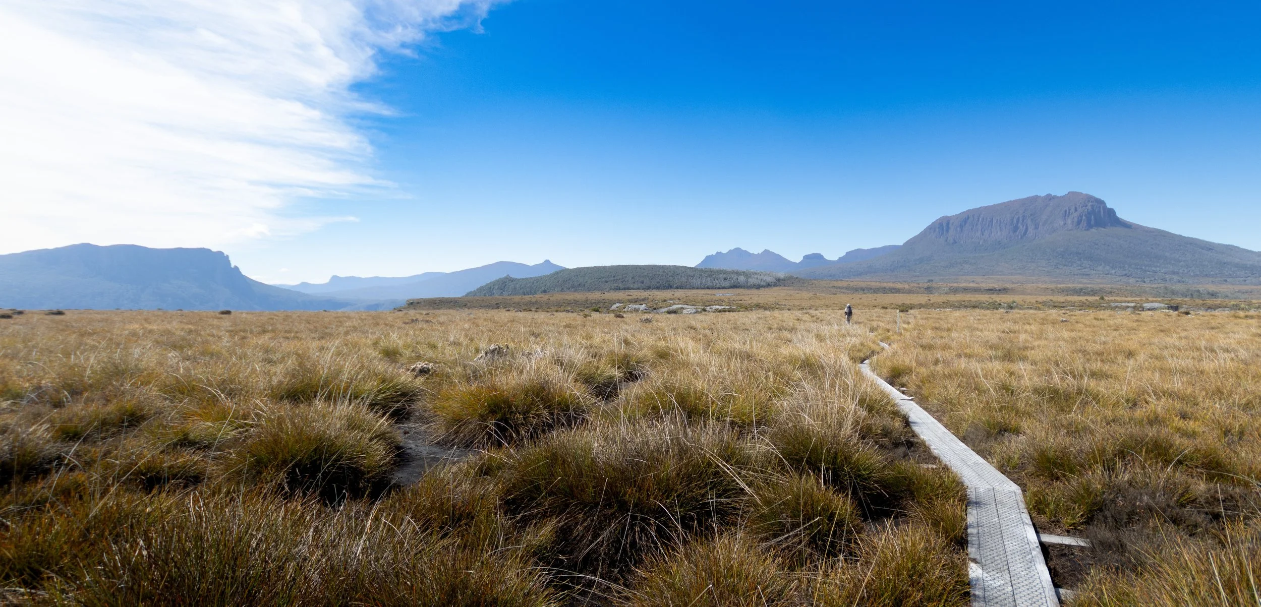 Tassie-181.jpg