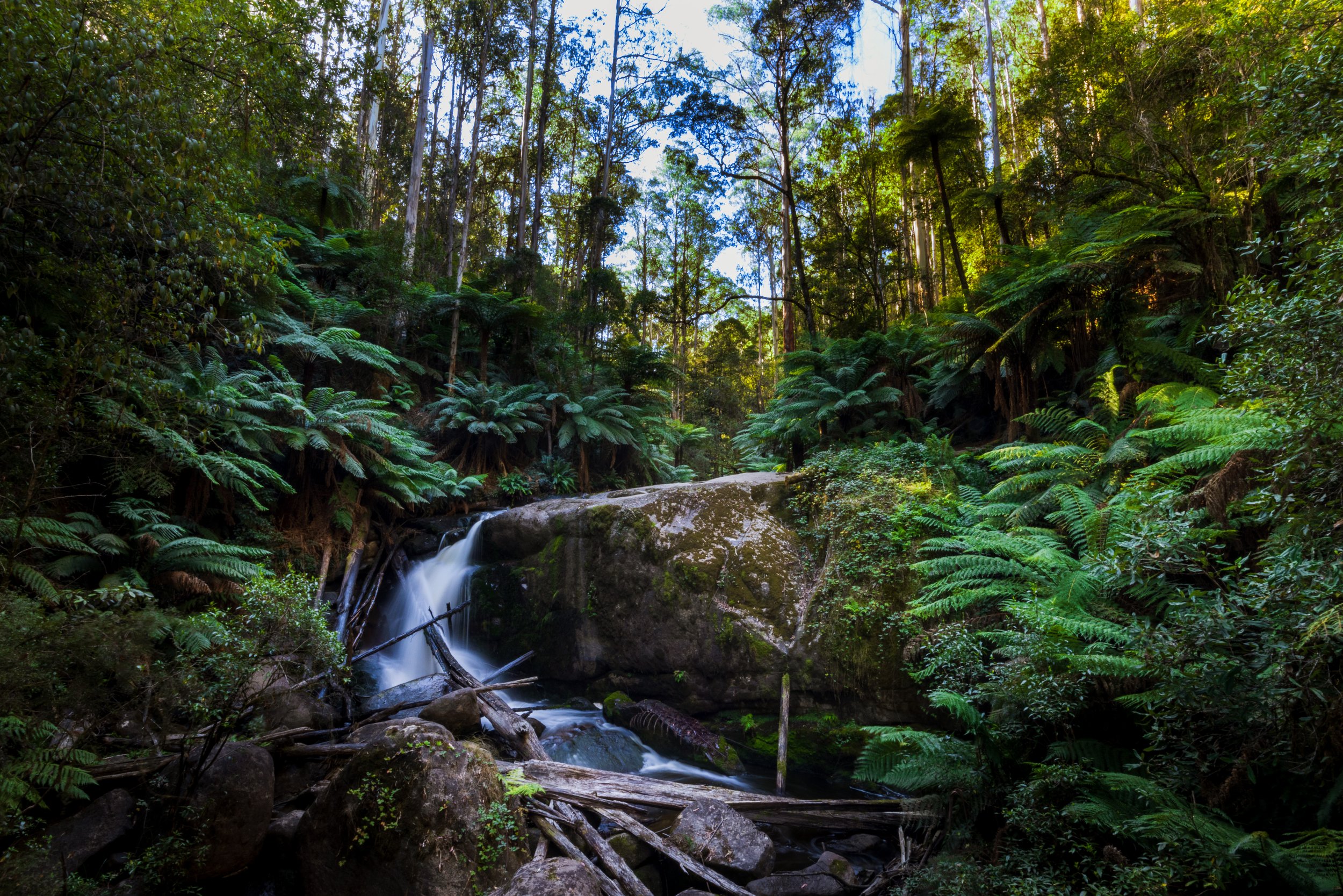 Noojee_Waterfall-2.jpg