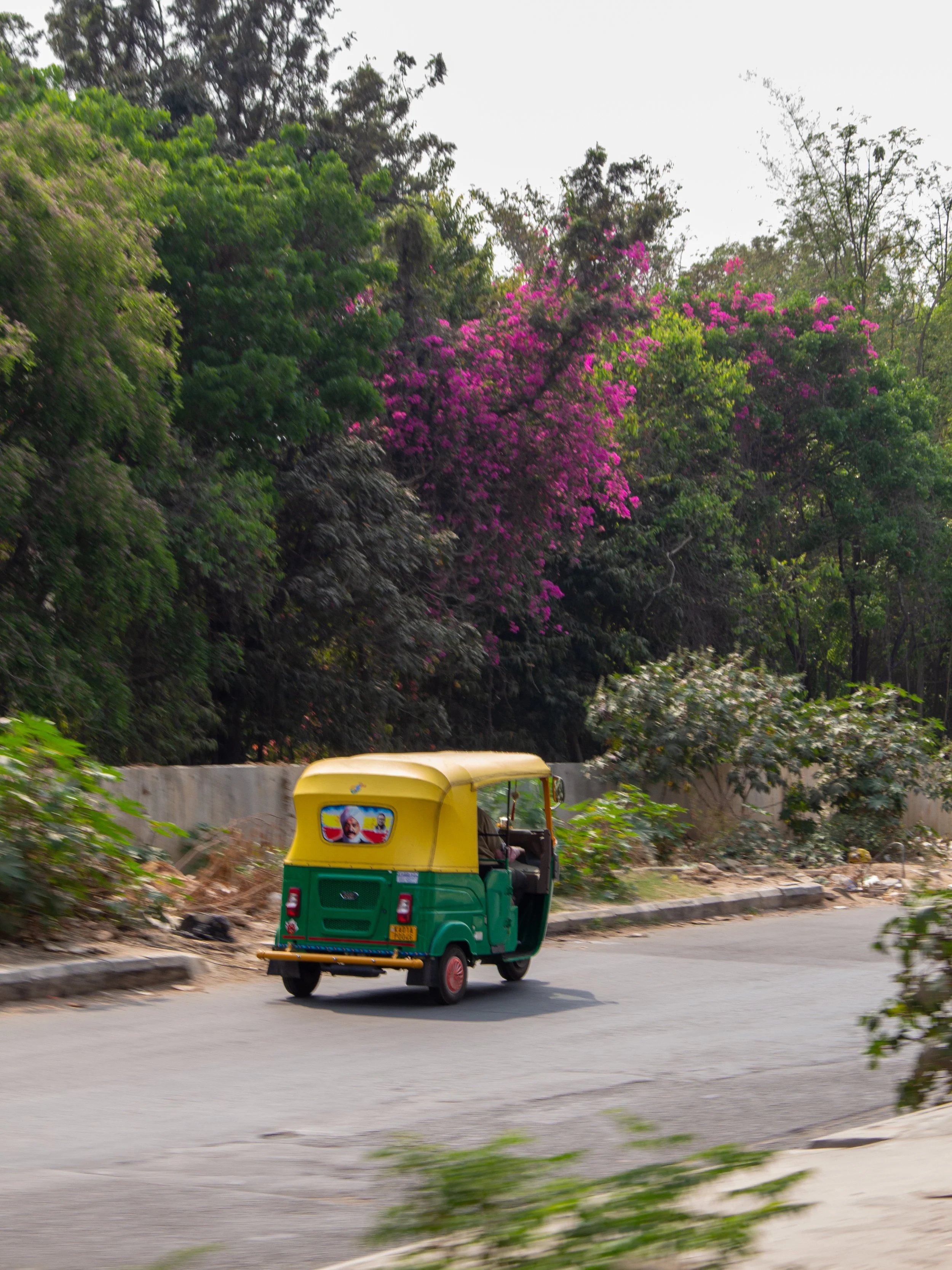 IndiaPhoto-3.jpg