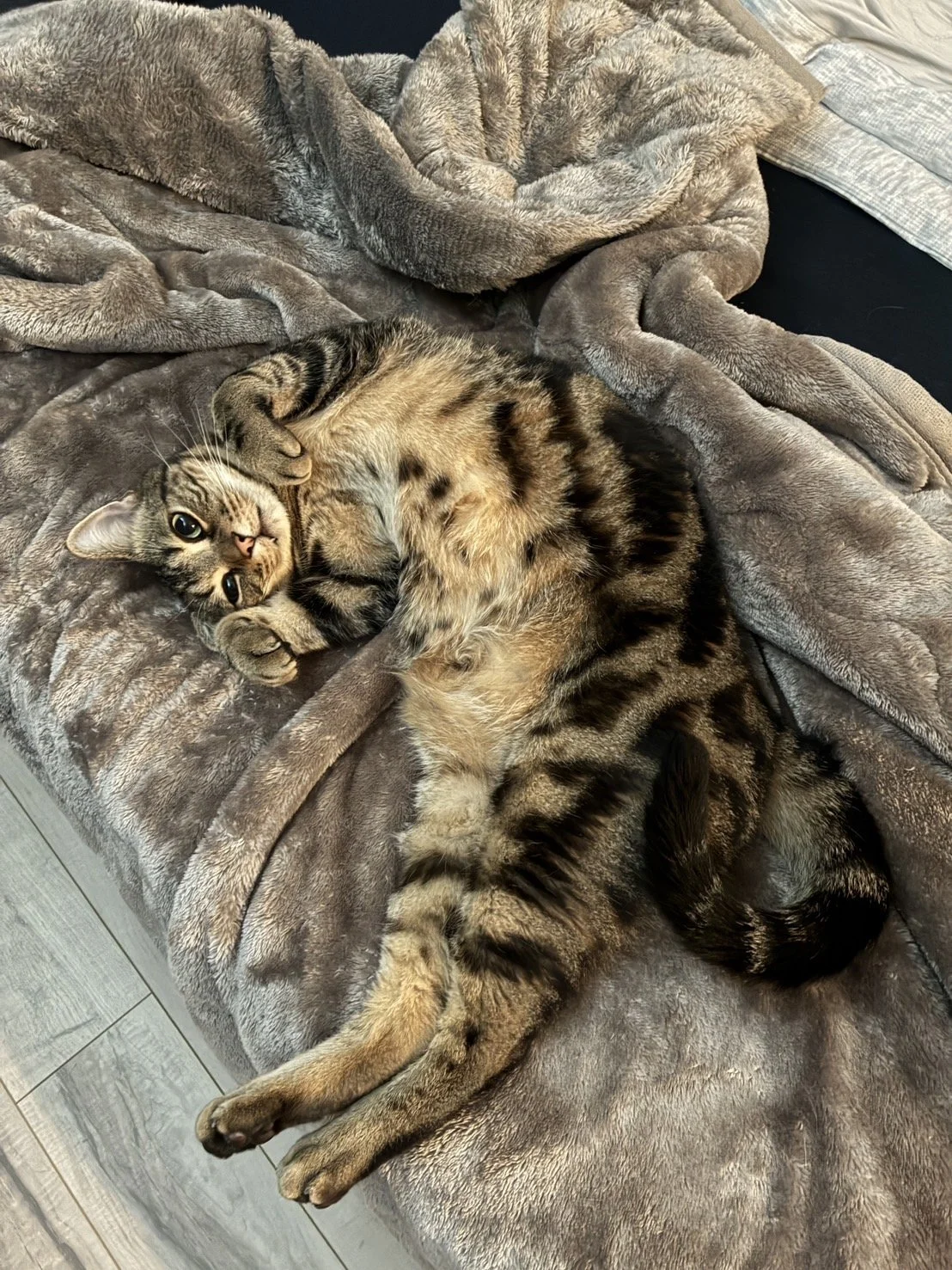 2回目以降セッション