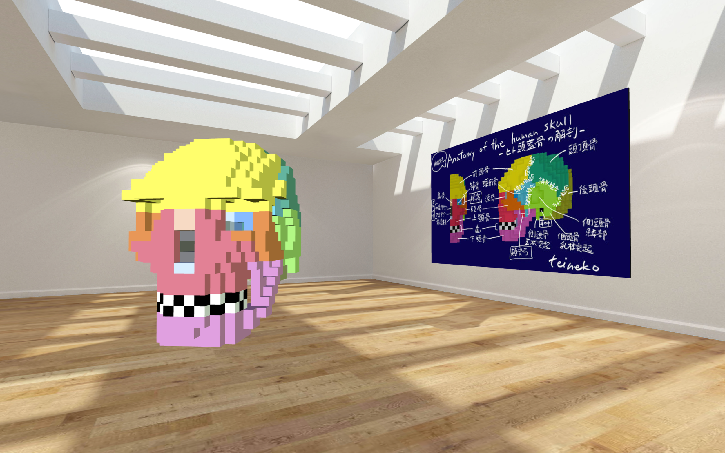 5ボクセル.png