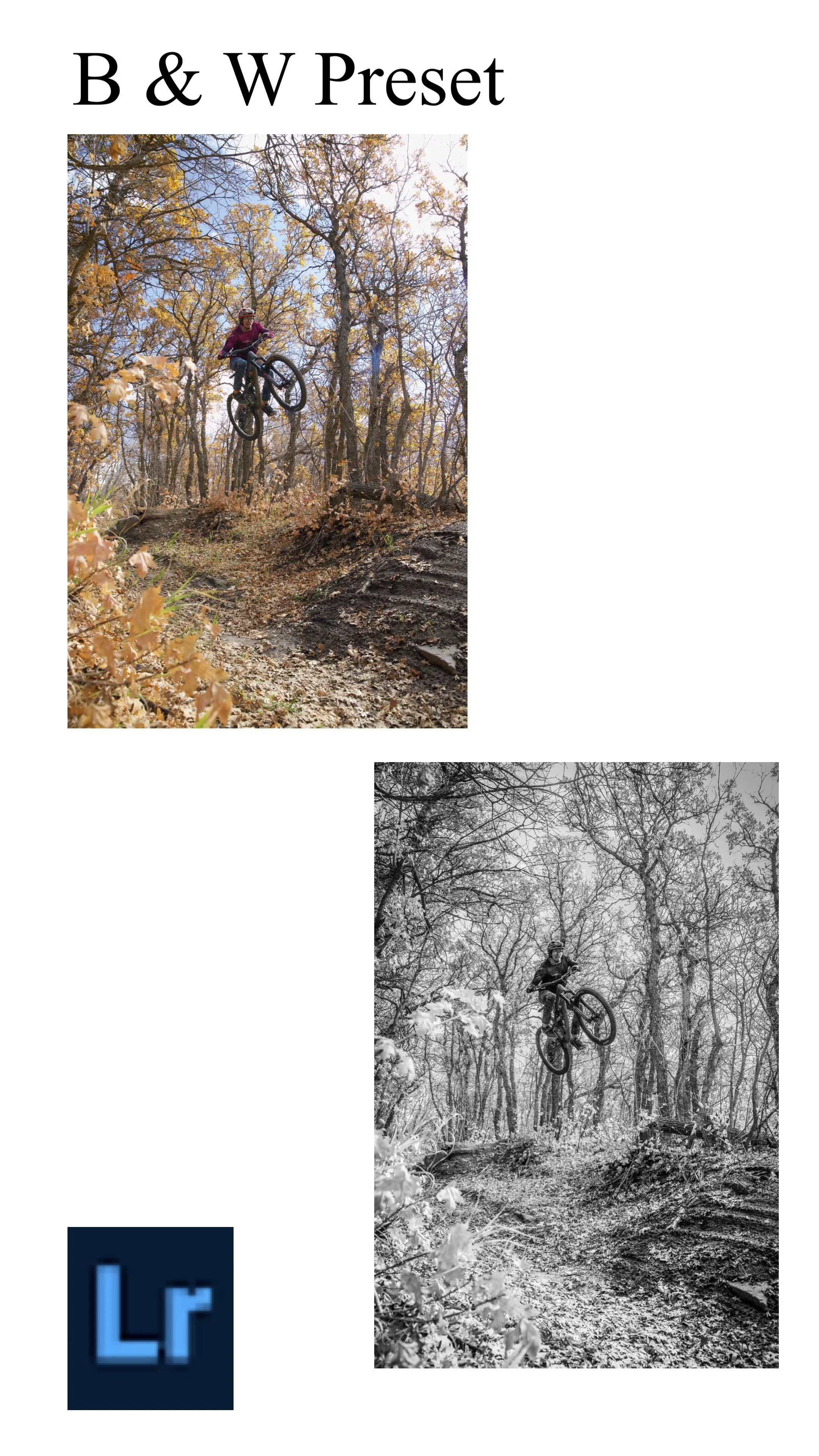 B & W Adobe Lightroom Preset