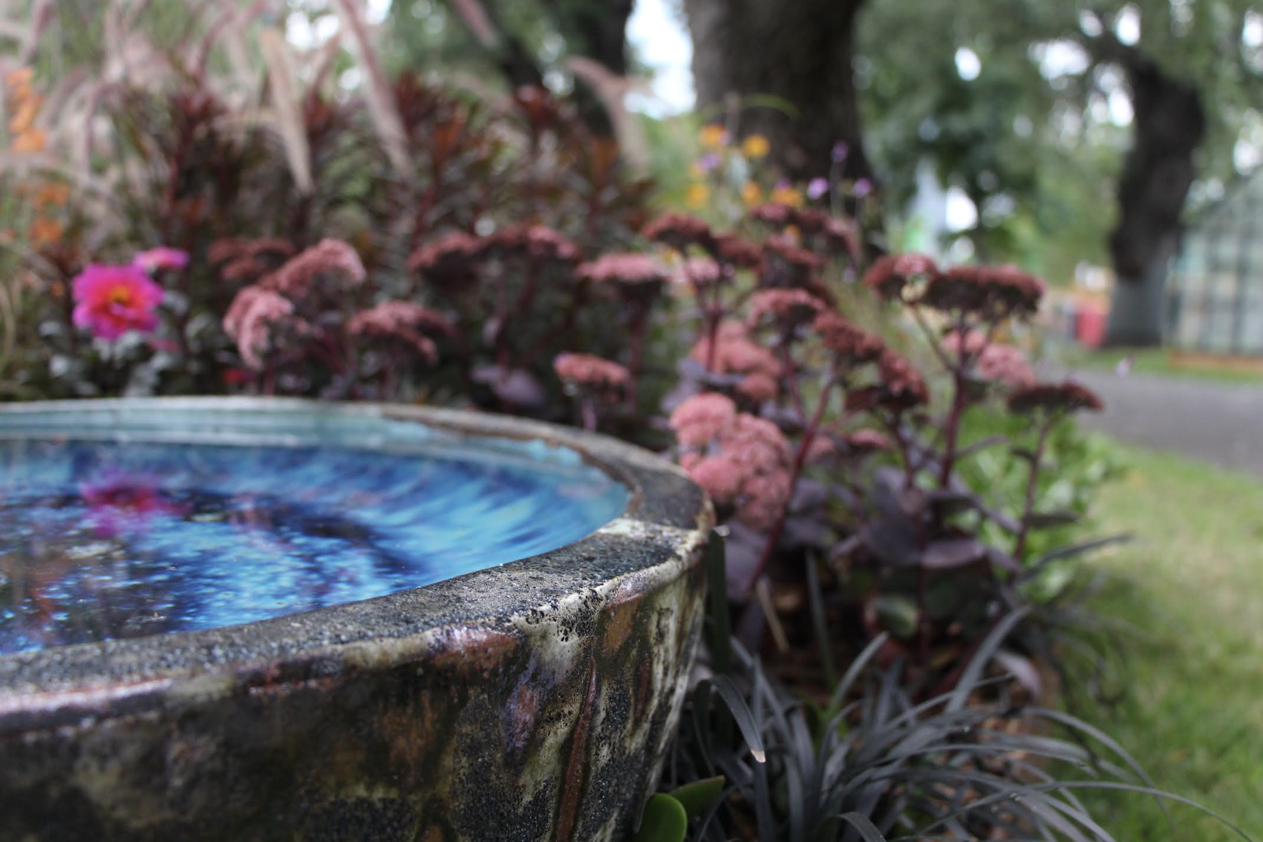 Screenshot 2026-04-09 at 11.46.05 am.png