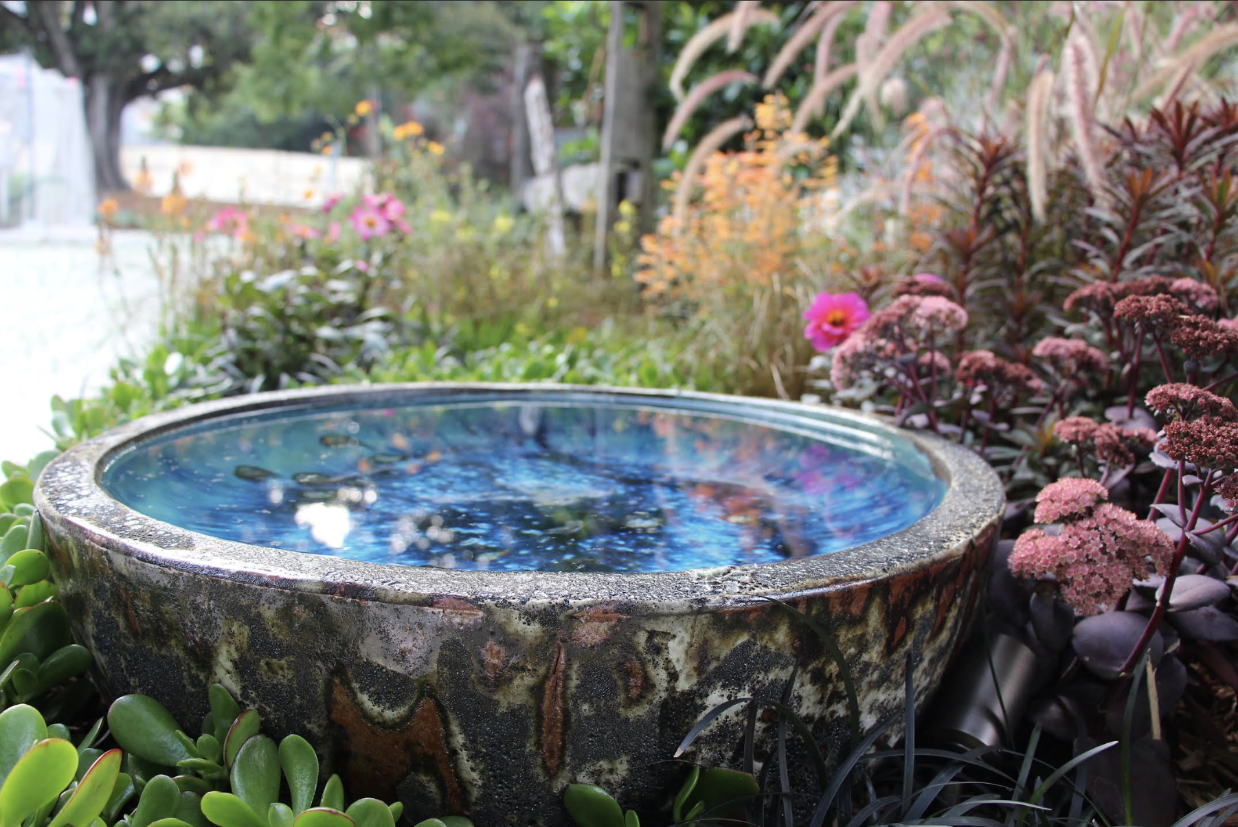 Screenshot 2026-04-09 at 11.46.13 am.png