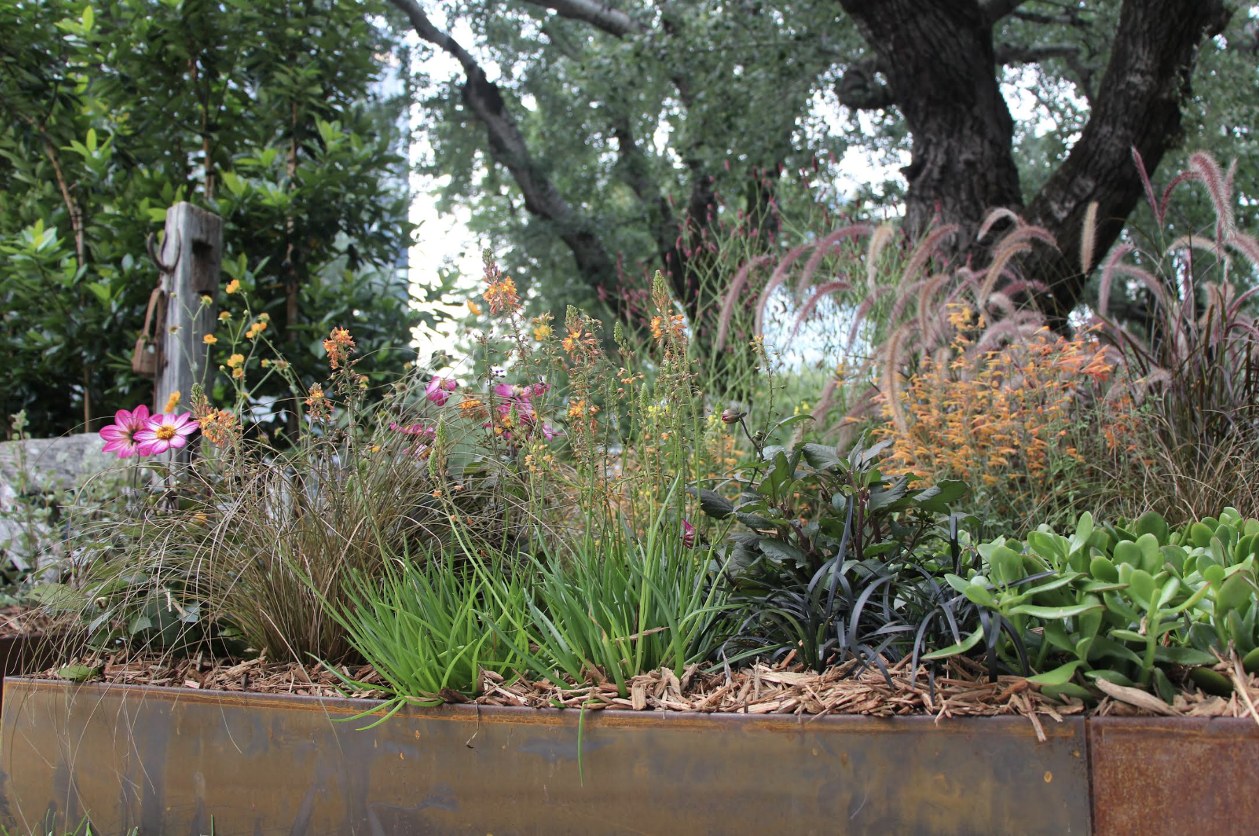 Screenshot 2026-04-09 at 11.46.20 am.png