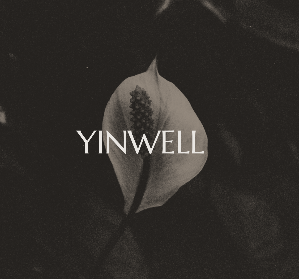 Welcome to The Yinwell Space
