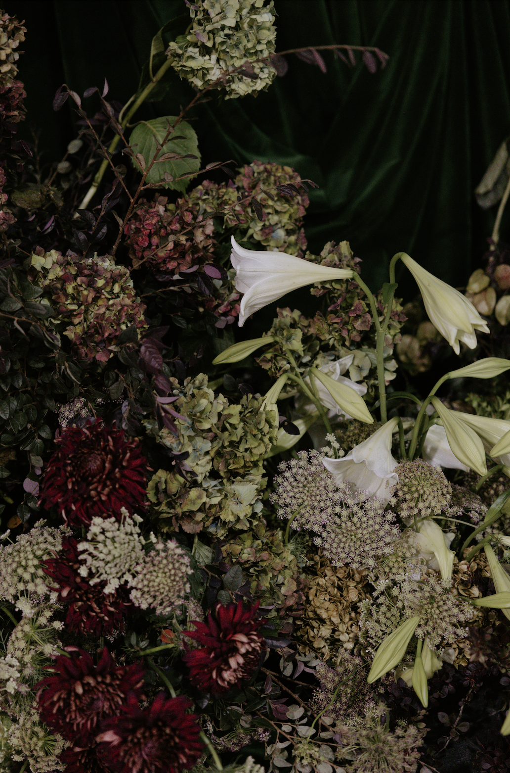 044A0851.png