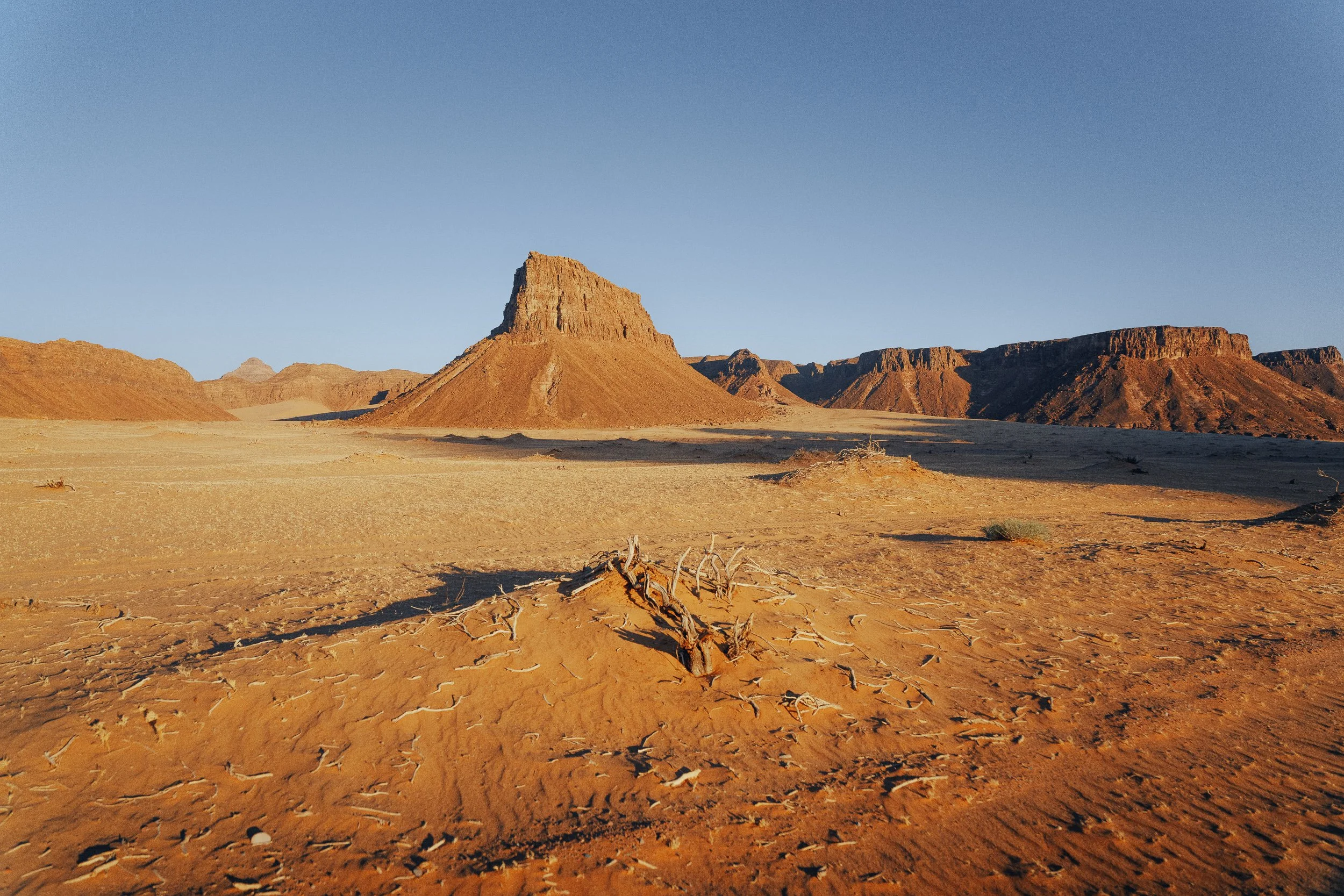 Ultra Gobi Alula_2026-01123.jpg