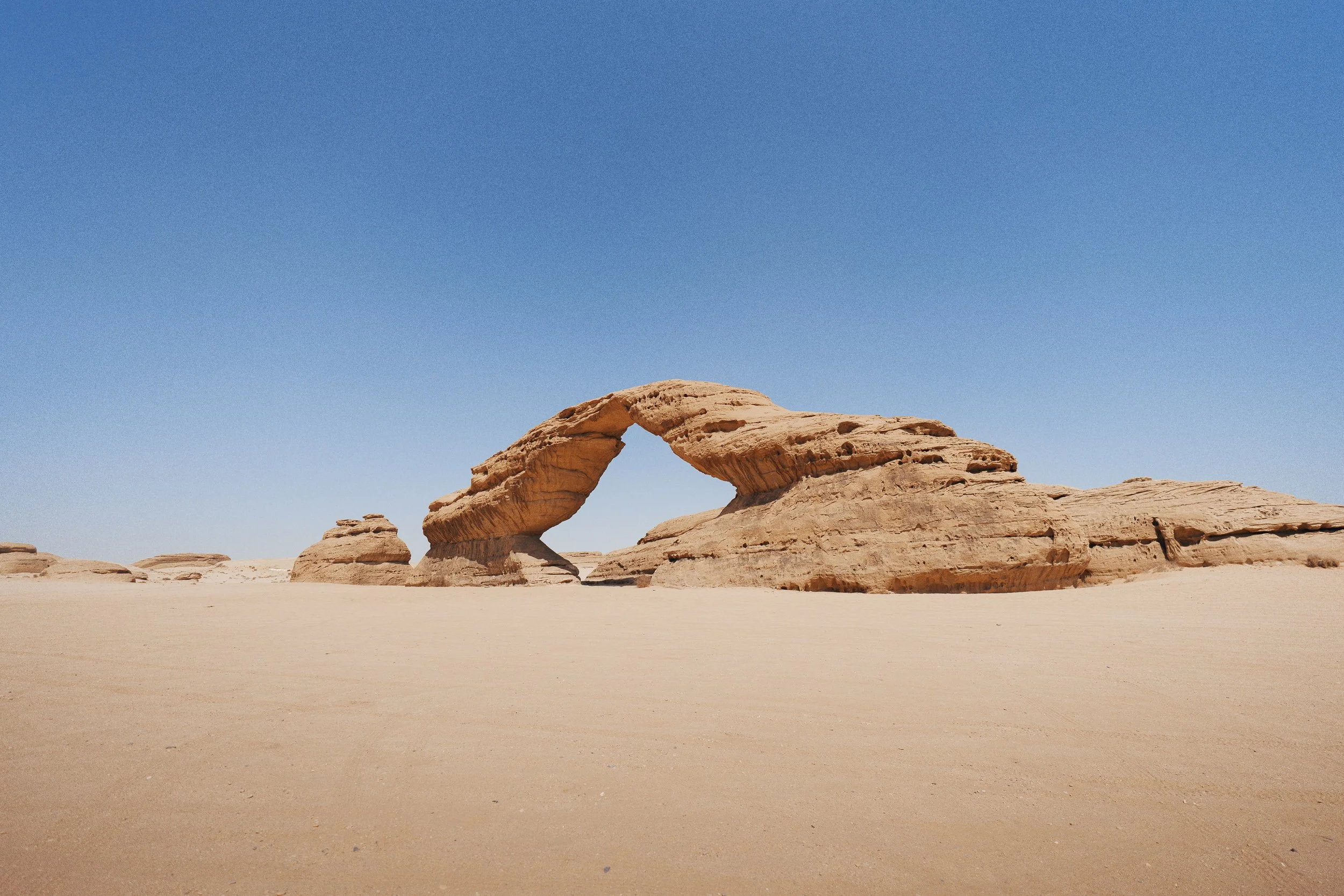 Ultra Gobi Alula_2026-03866.jpg