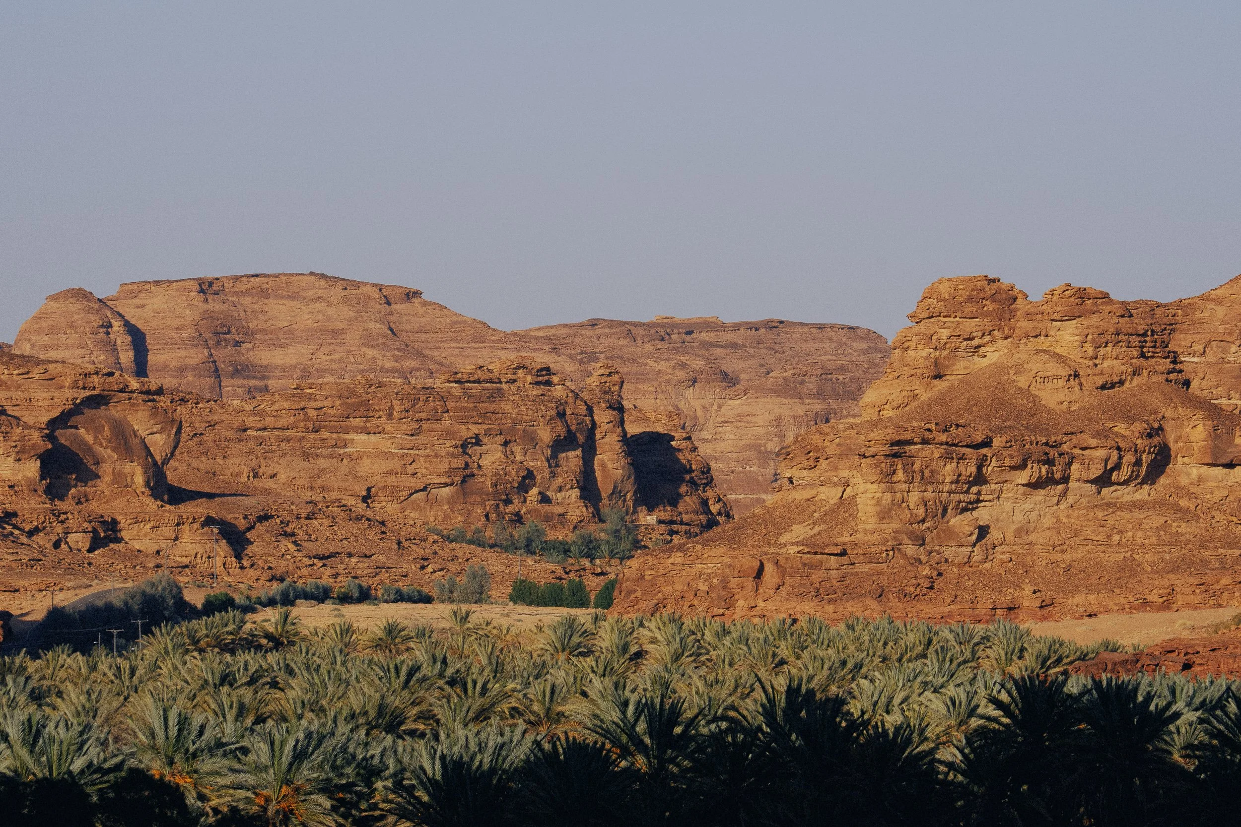 Ultra Gobi Alula_2026-07263.jpg