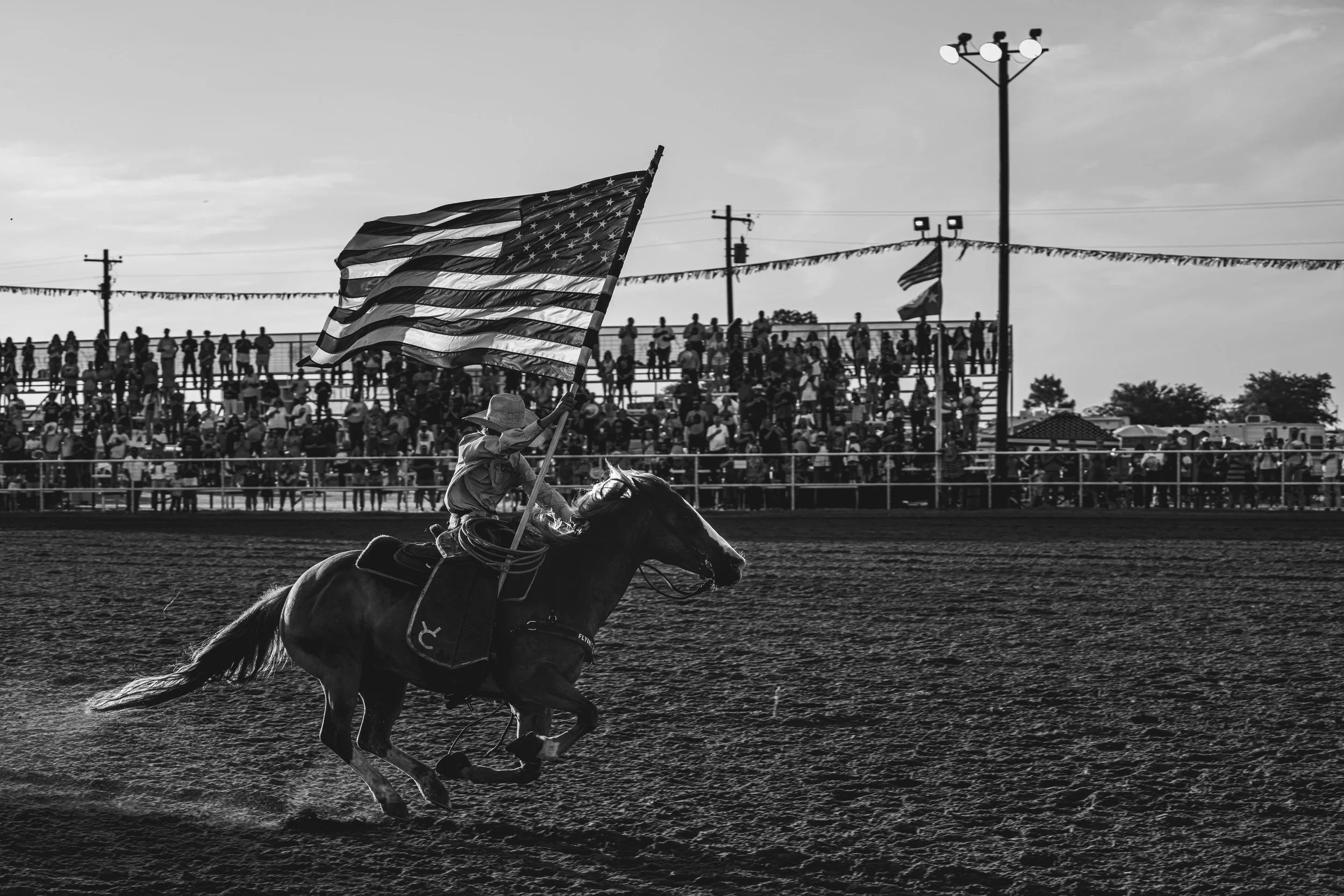 _DSC1587 copy.jpg