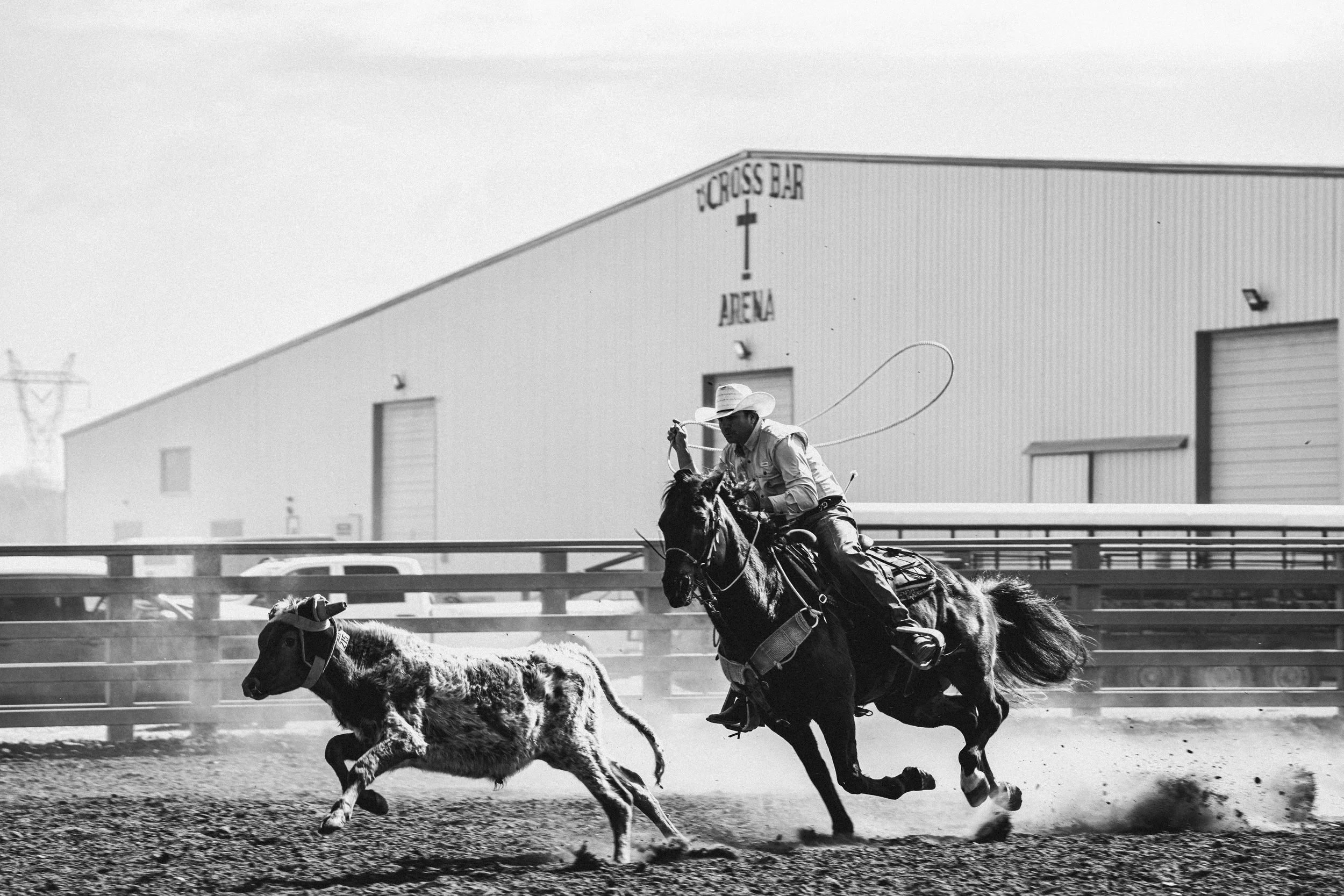 _DSC8047 copy.jpg
