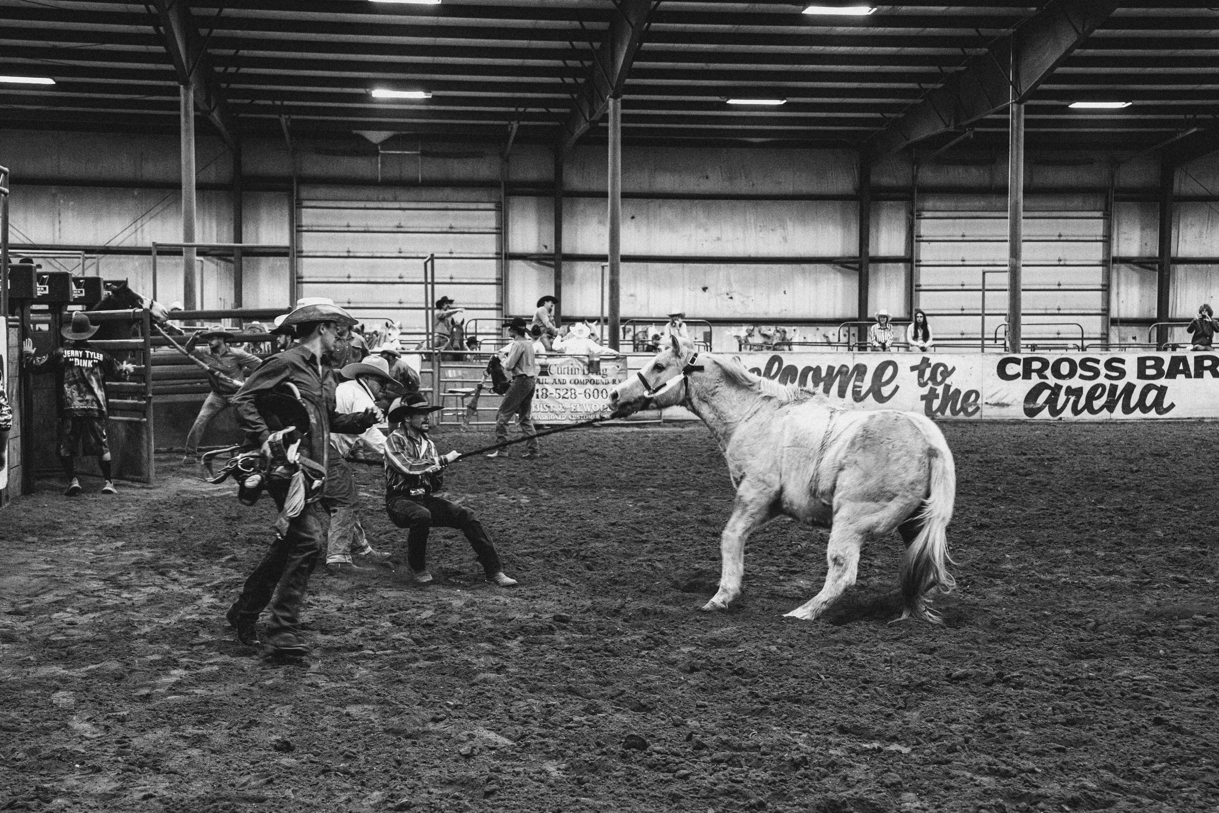Rodeos