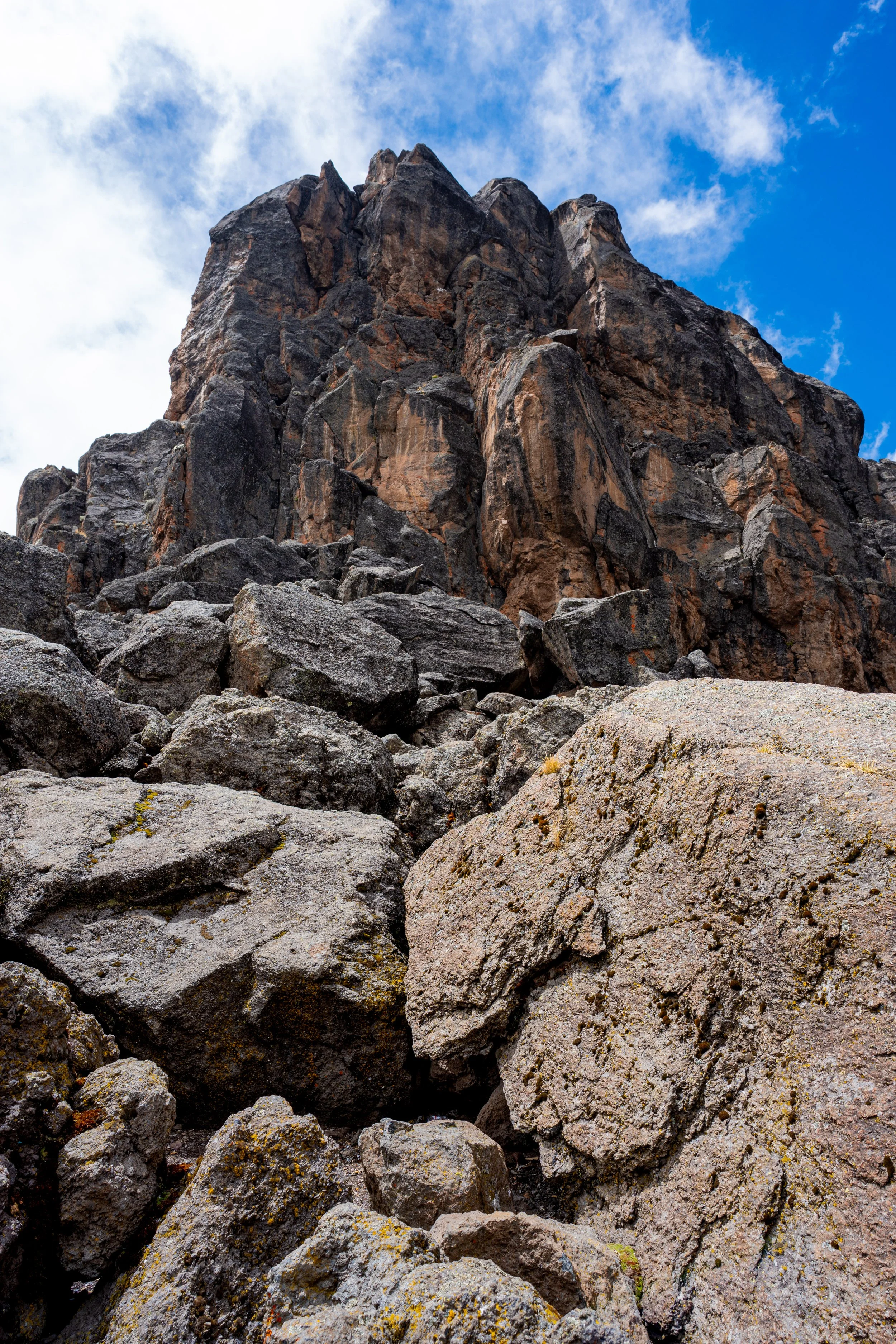 Penguin Portrait Set-27.jpg