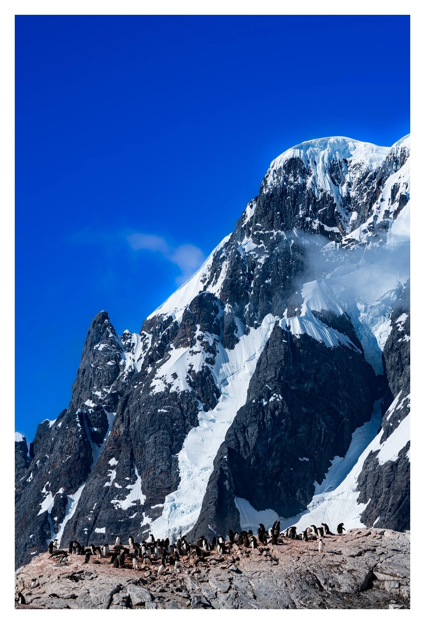 Mountainside Roost (2025)