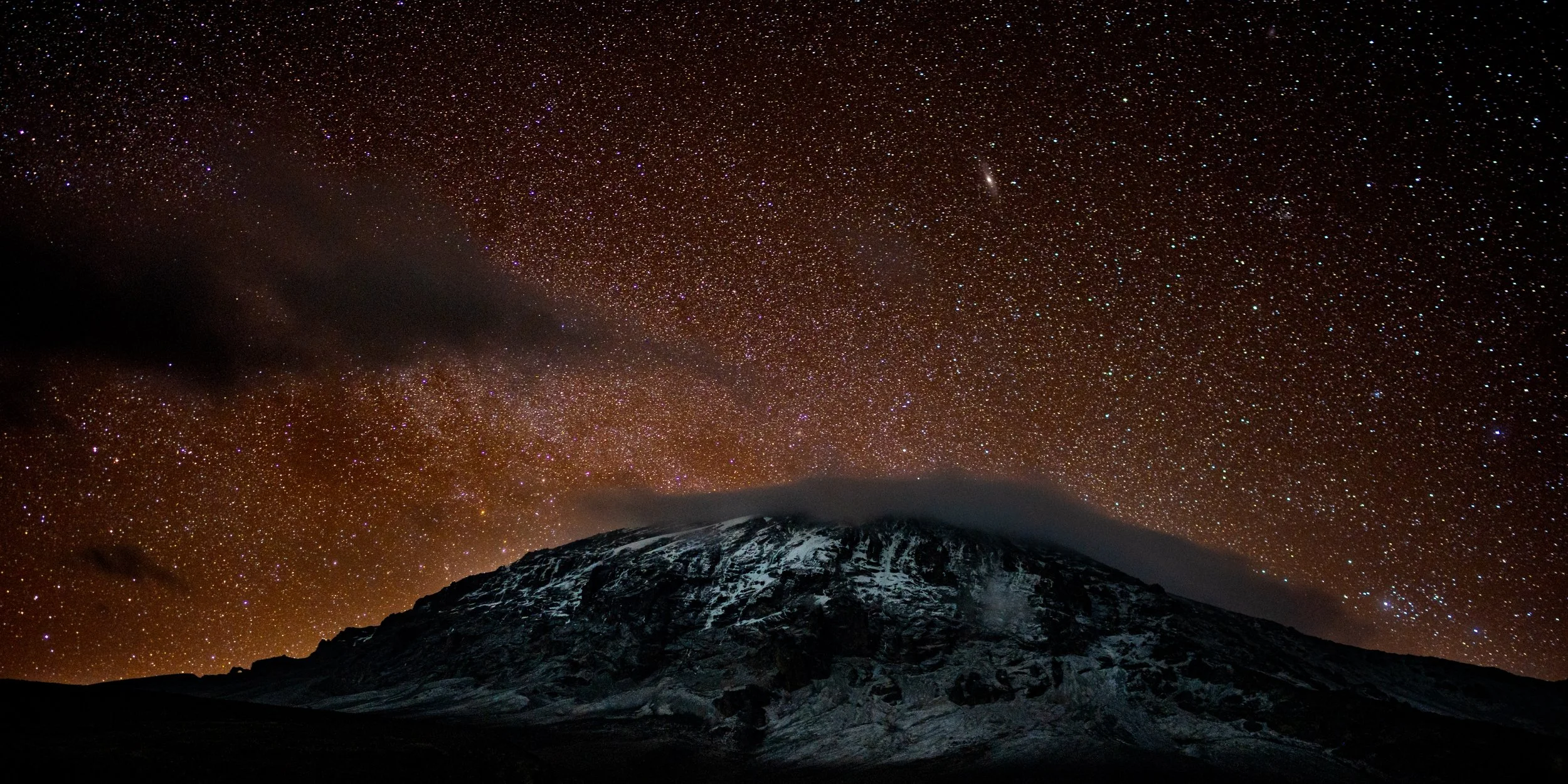 Penguin Portrait Set-25.jpg