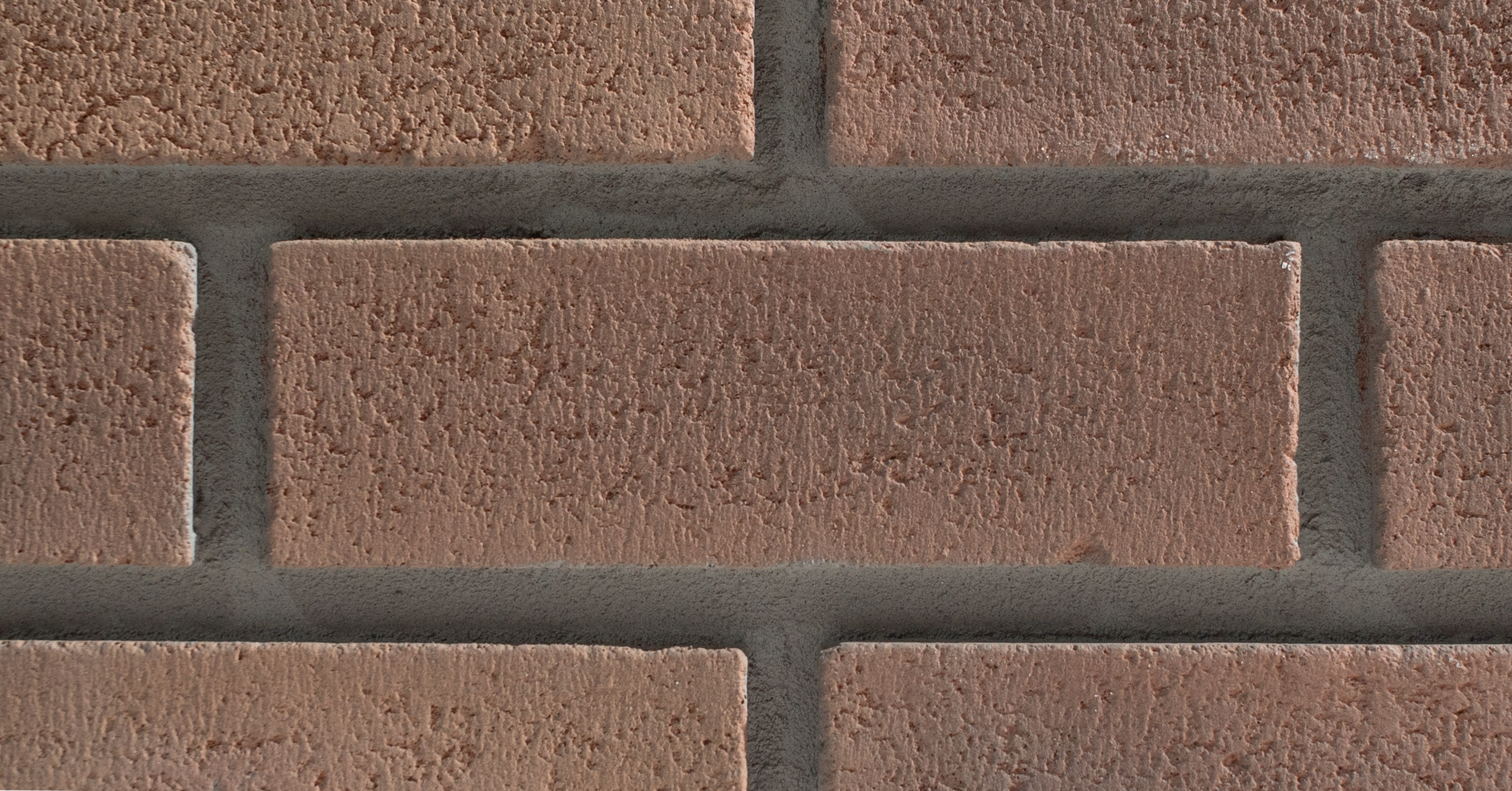 Terra Cotta - Detail.png