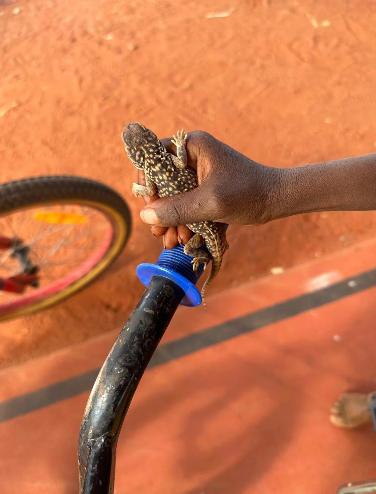 BM staff are generally welcomed to community with kids [and animals] on bikes 😎 What nature do you see when you&rsquo;re riding around #uluru with @outbackcycling? 

📸young person in Muṯitjulu on our last trip to run school holiday program with the