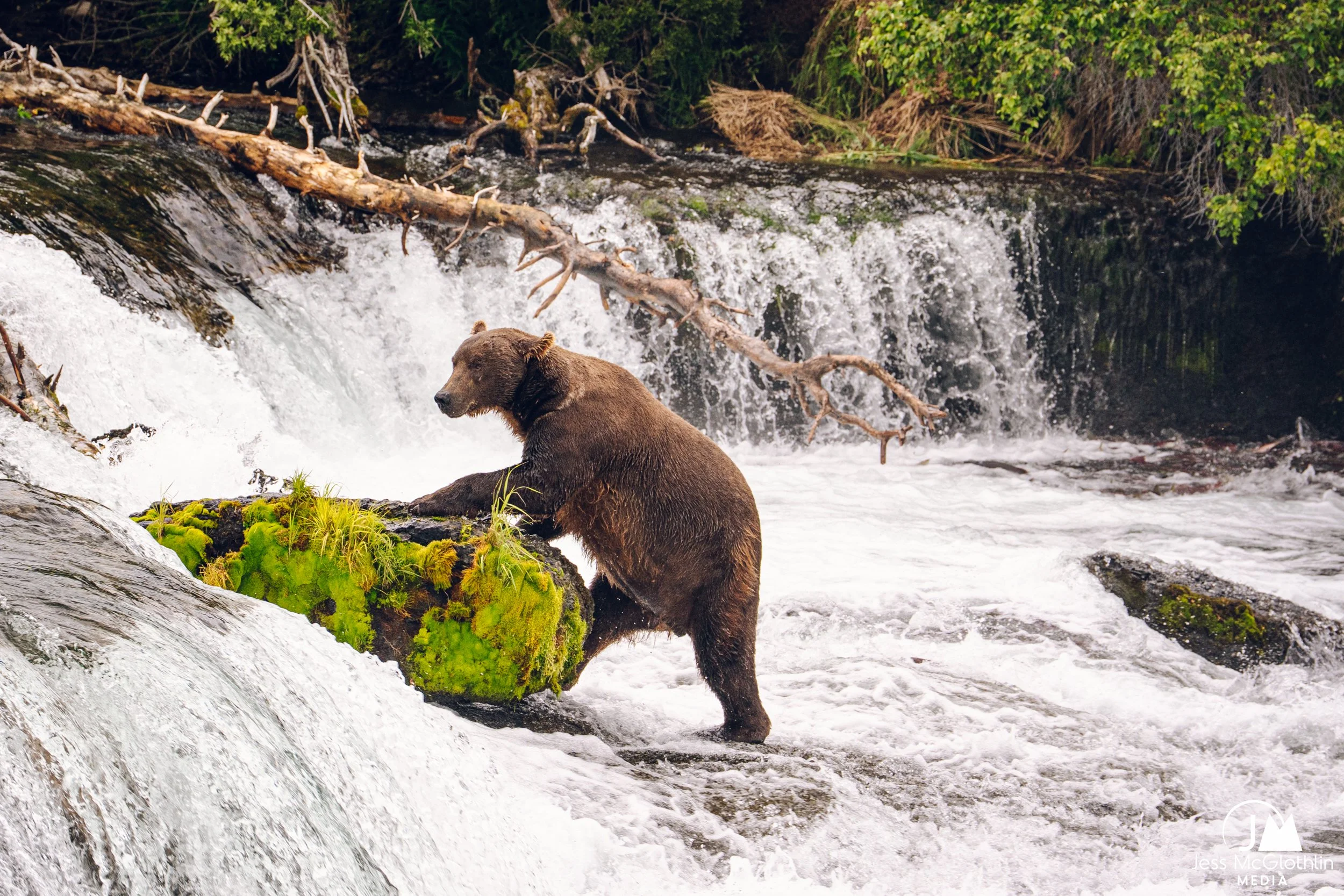 McGlothlin_AK_Katmai_Sky-LR-15_FE.jpg