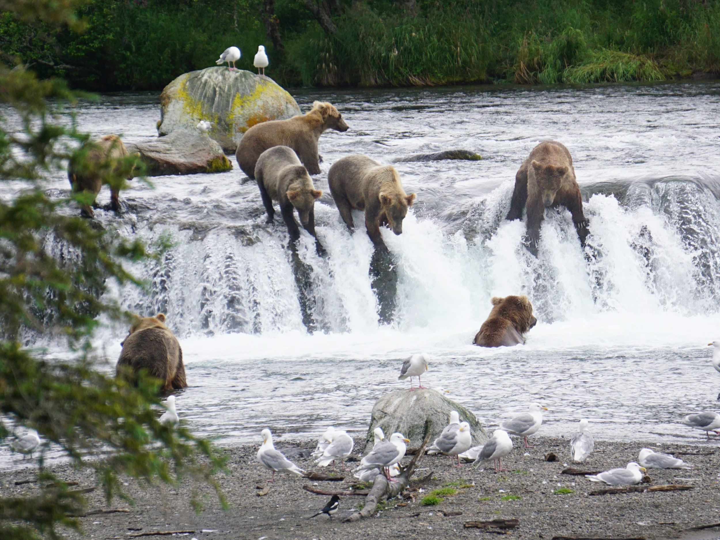When Is the Best Time to Visit Katmai?