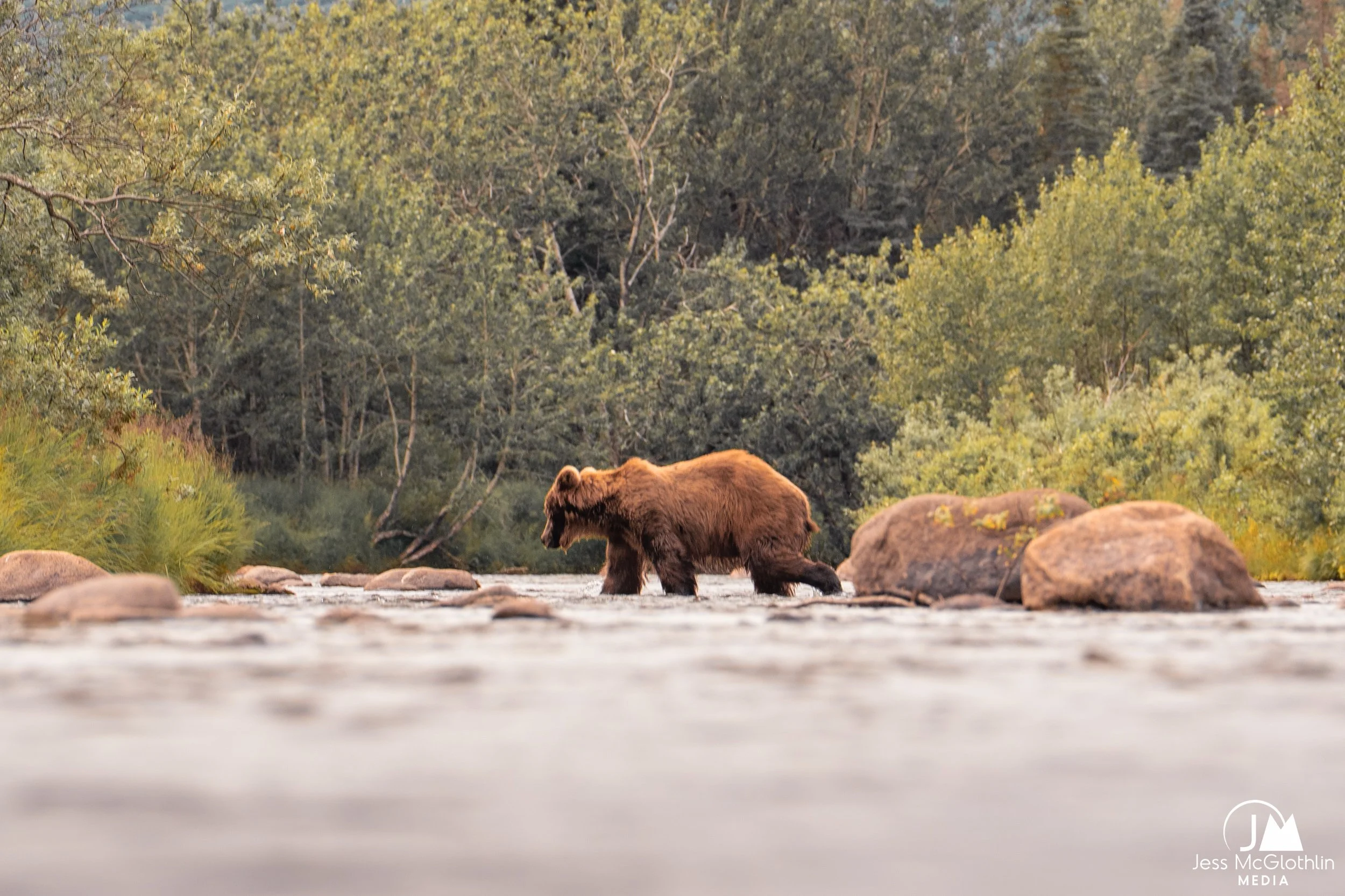 McGlothlin_AK_Katmai_Sky-LR-207_FE.jpg