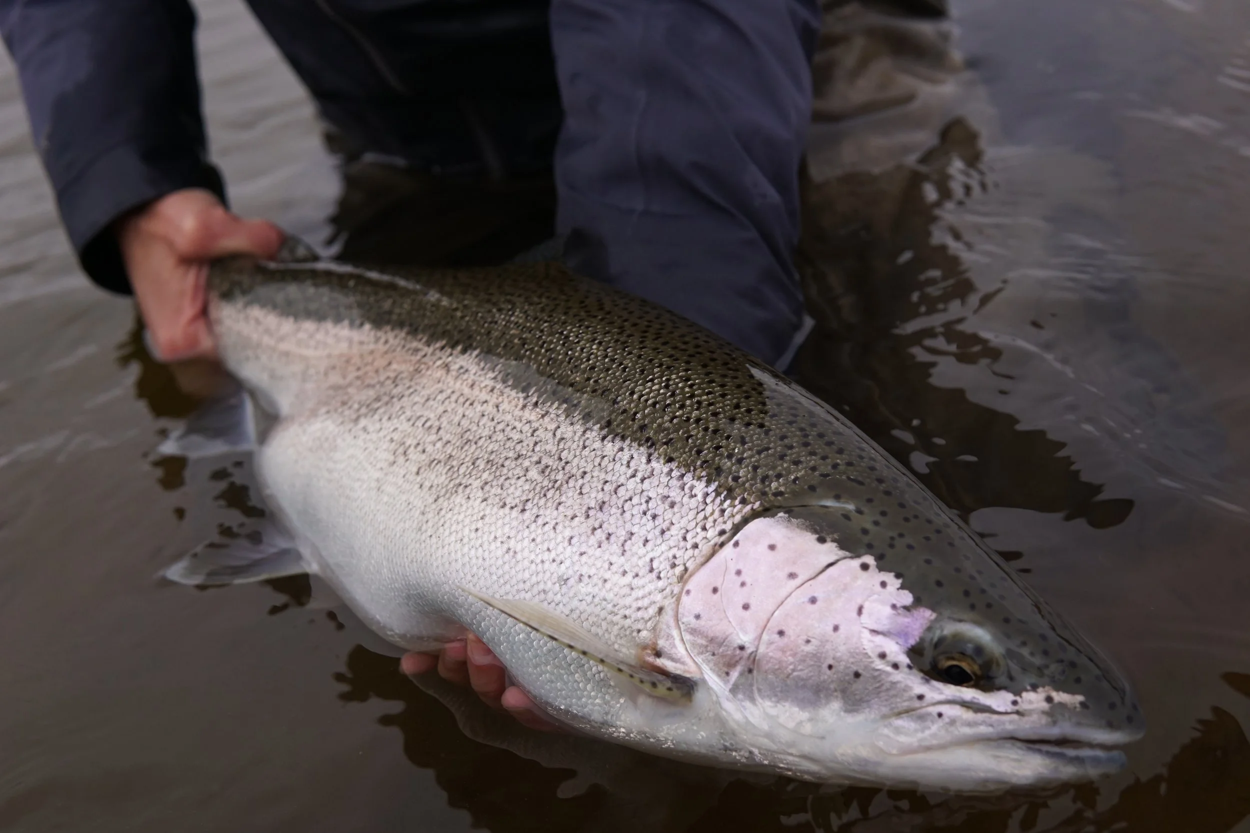 At the Edge of the Map,  Fly Fishing Begins…