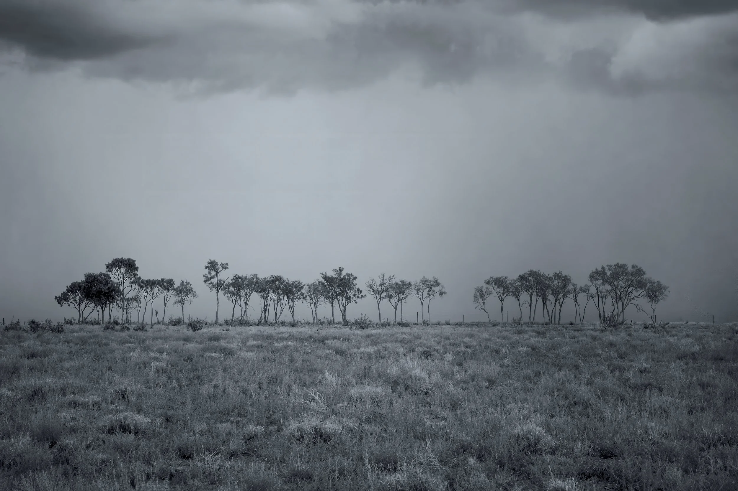 _DSC9633 1.BW.jpg