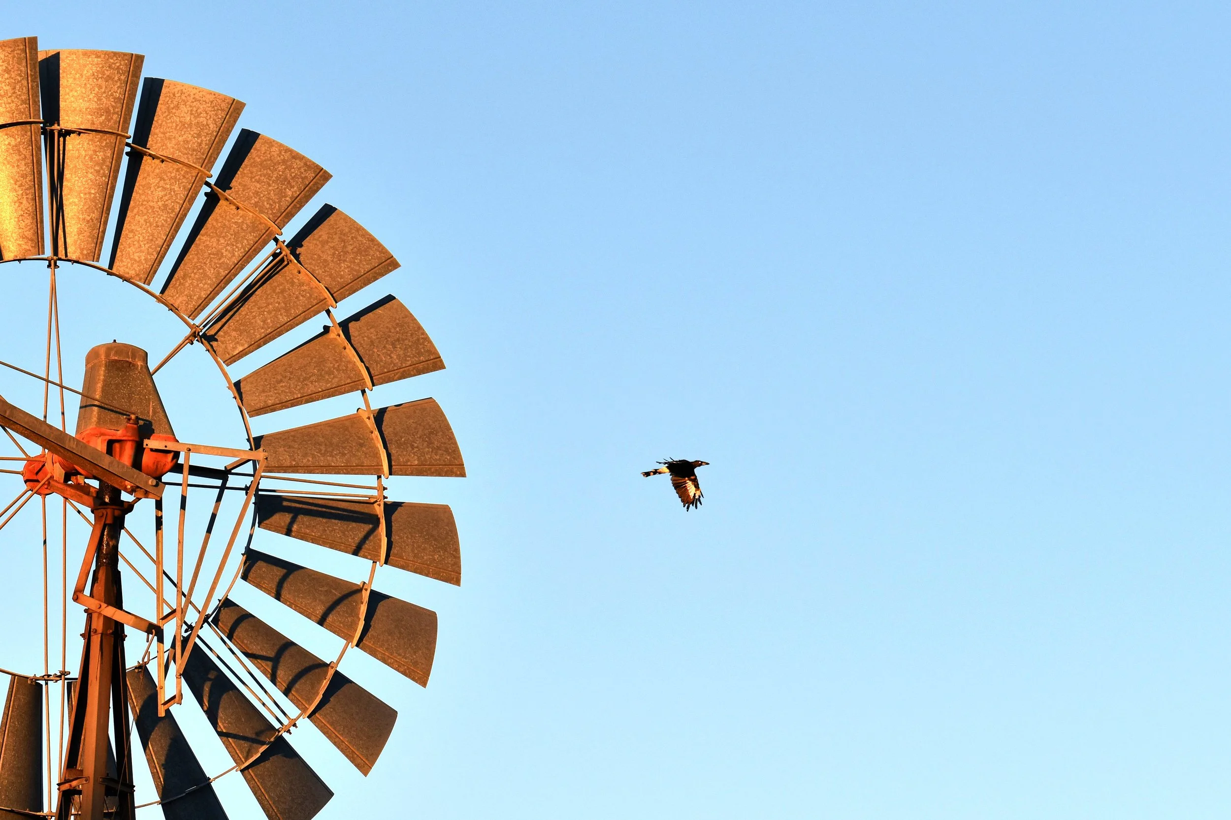 2018-02-08 18.49.57  3.jpg