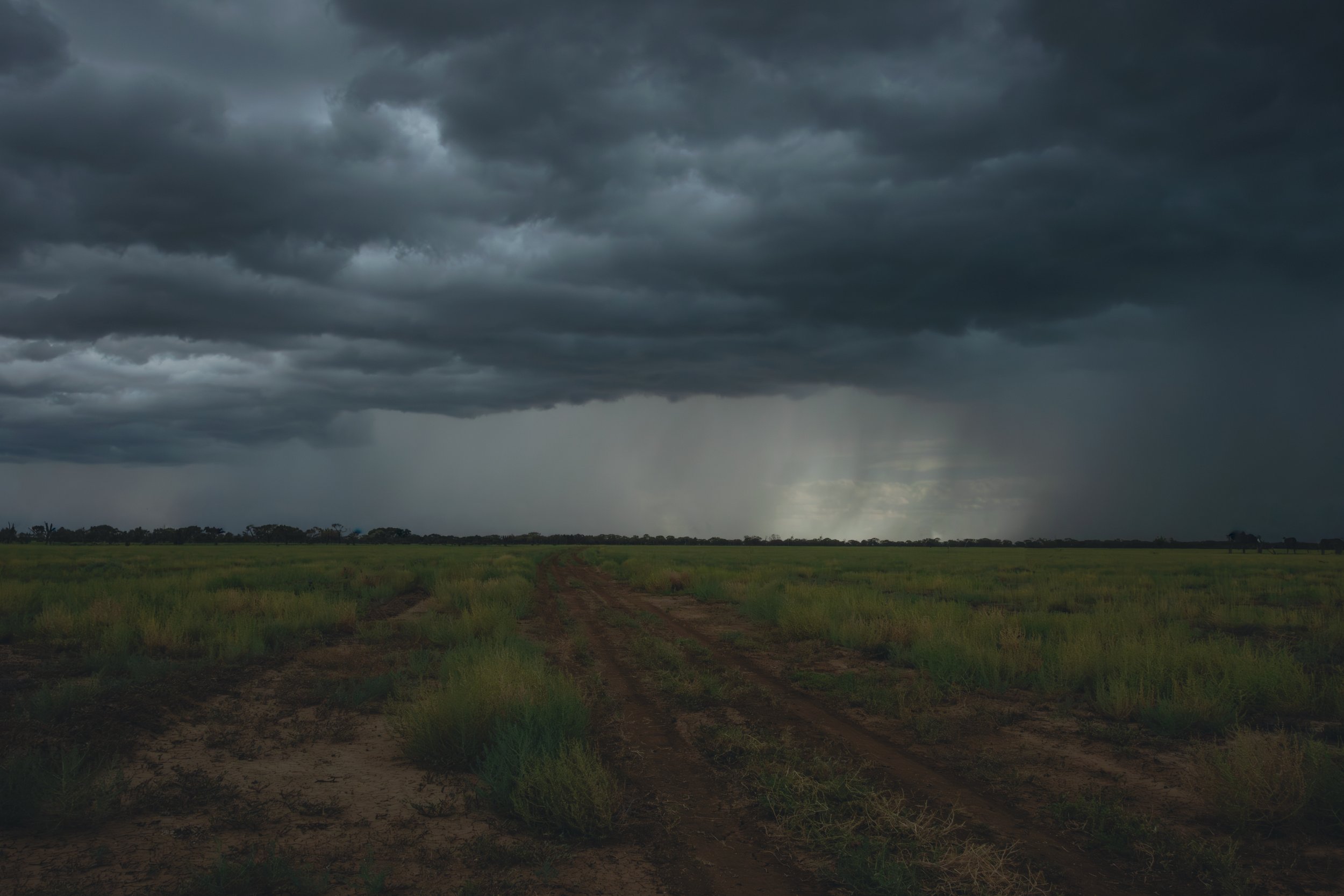 Farm Life Prints - "road to the emerald city"