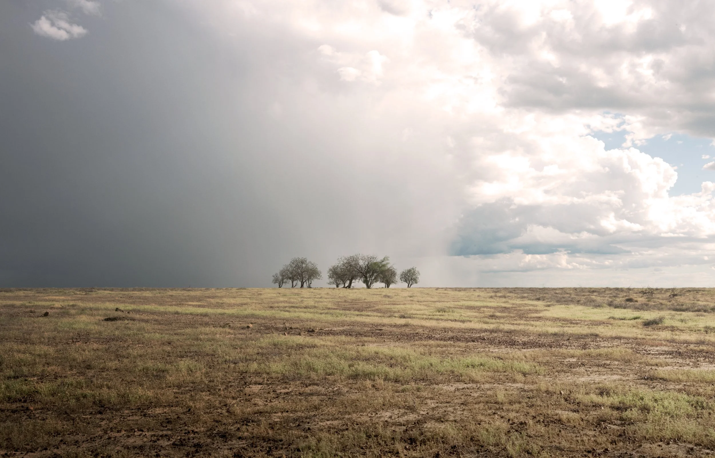 Farm Life Prints - "God draws the rain curtain"