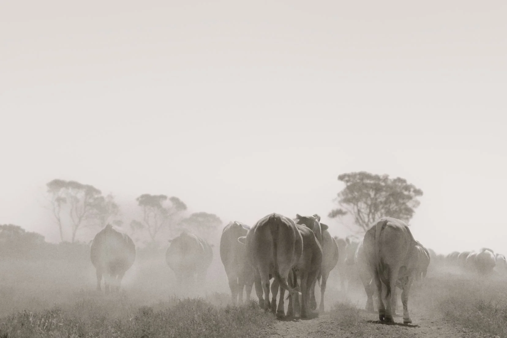 Farm Life Print  - "dust haze"