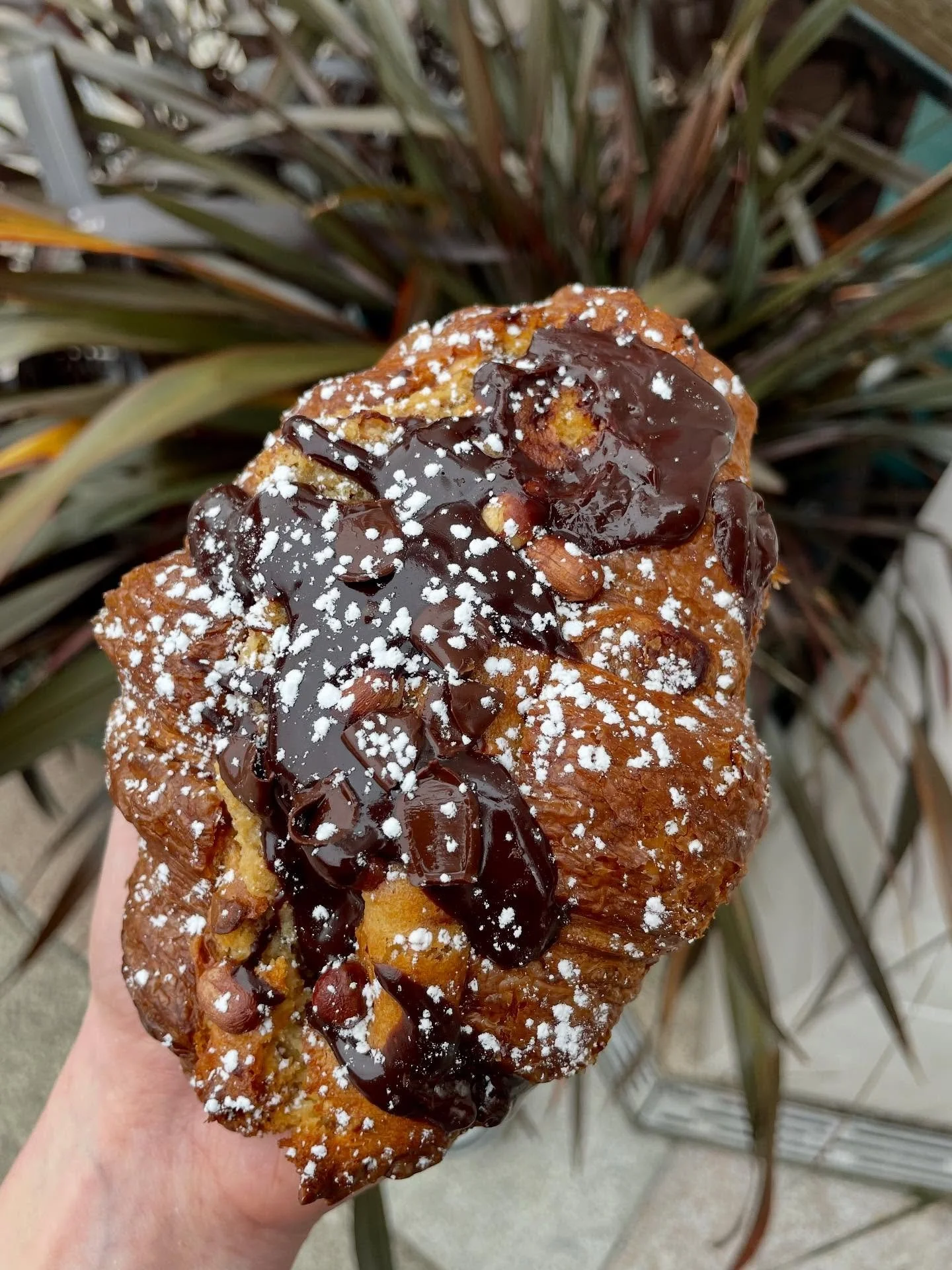 Chocolate &amp; Peanut Butter Frangipane Croissant 🥐

Teams breakfast, lunch &amp; dinner by their reaction