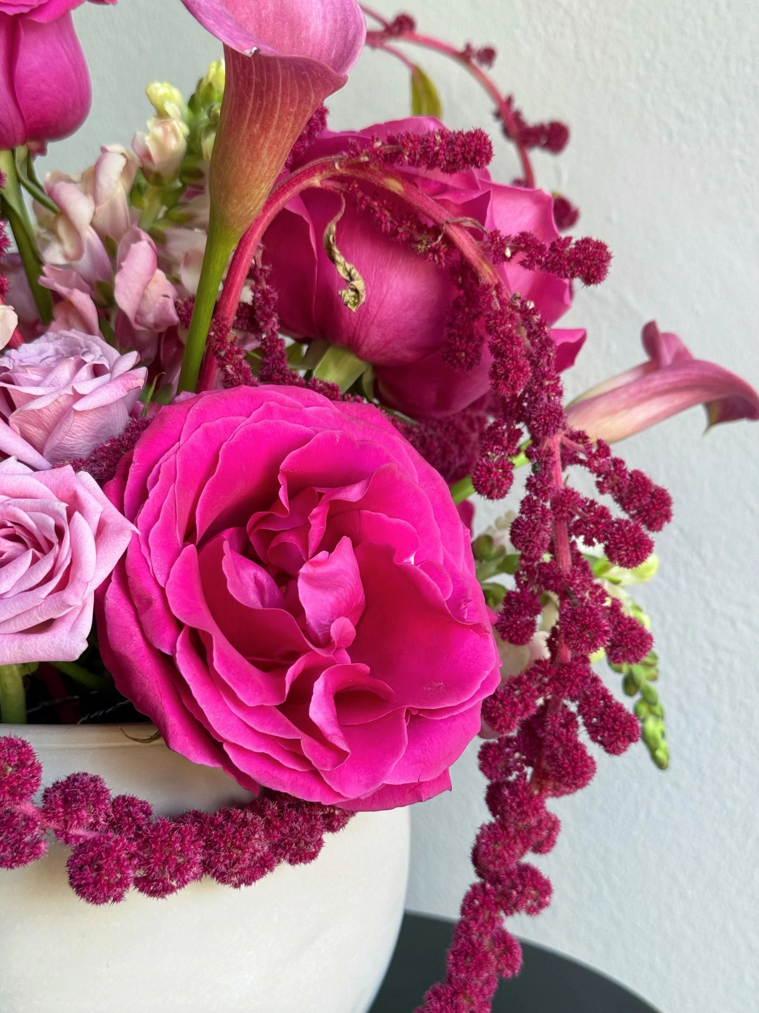 Close-up of hot pink roses