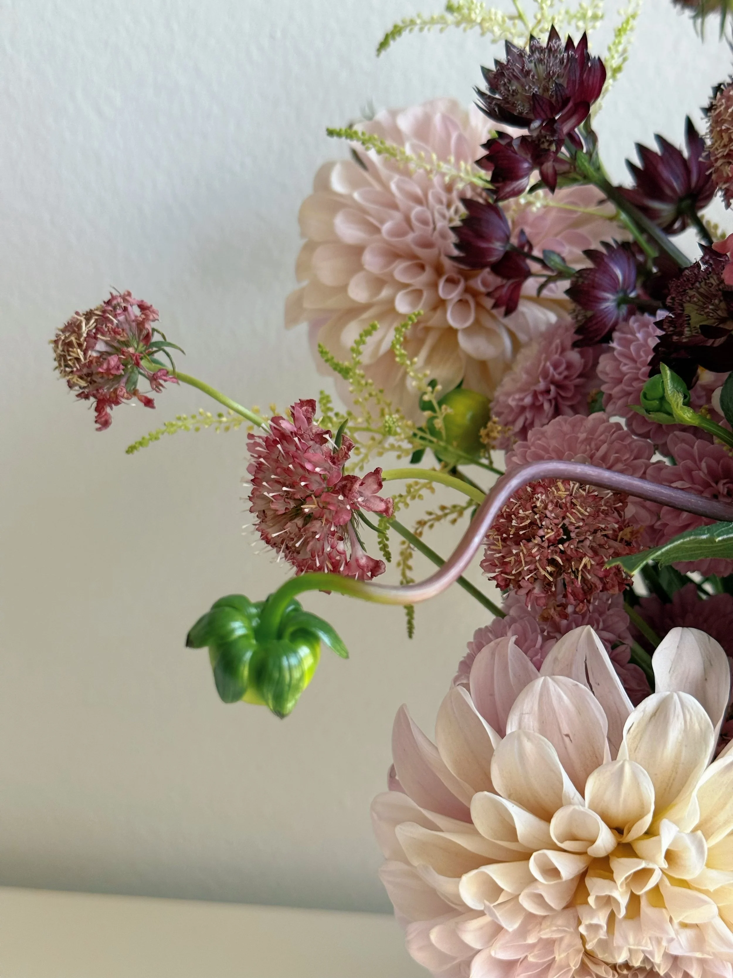 seasonal fresh flowers