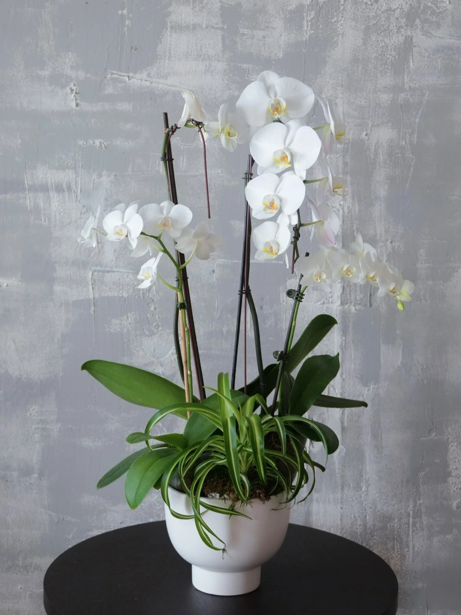 Modern Orchid Arrangement-White-1.jpeg